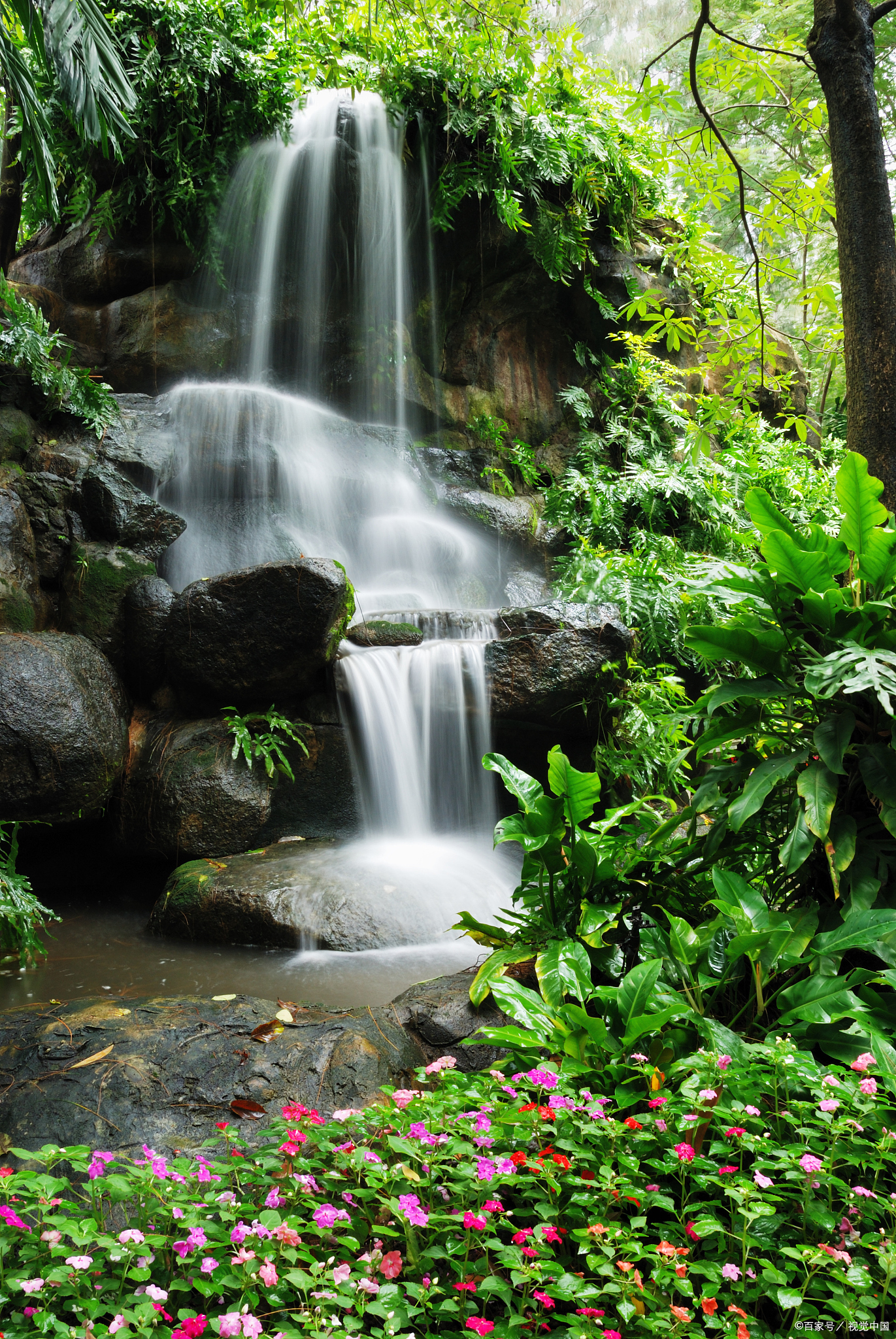 被发现了,依旧会寻找机会再次背叛!