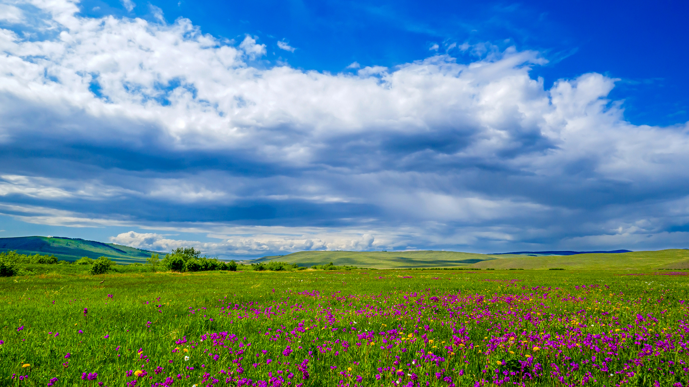 奇遇那拉提#那拉提鹰嘴花海高寒草原景区是位于新疆喀什地区的一处