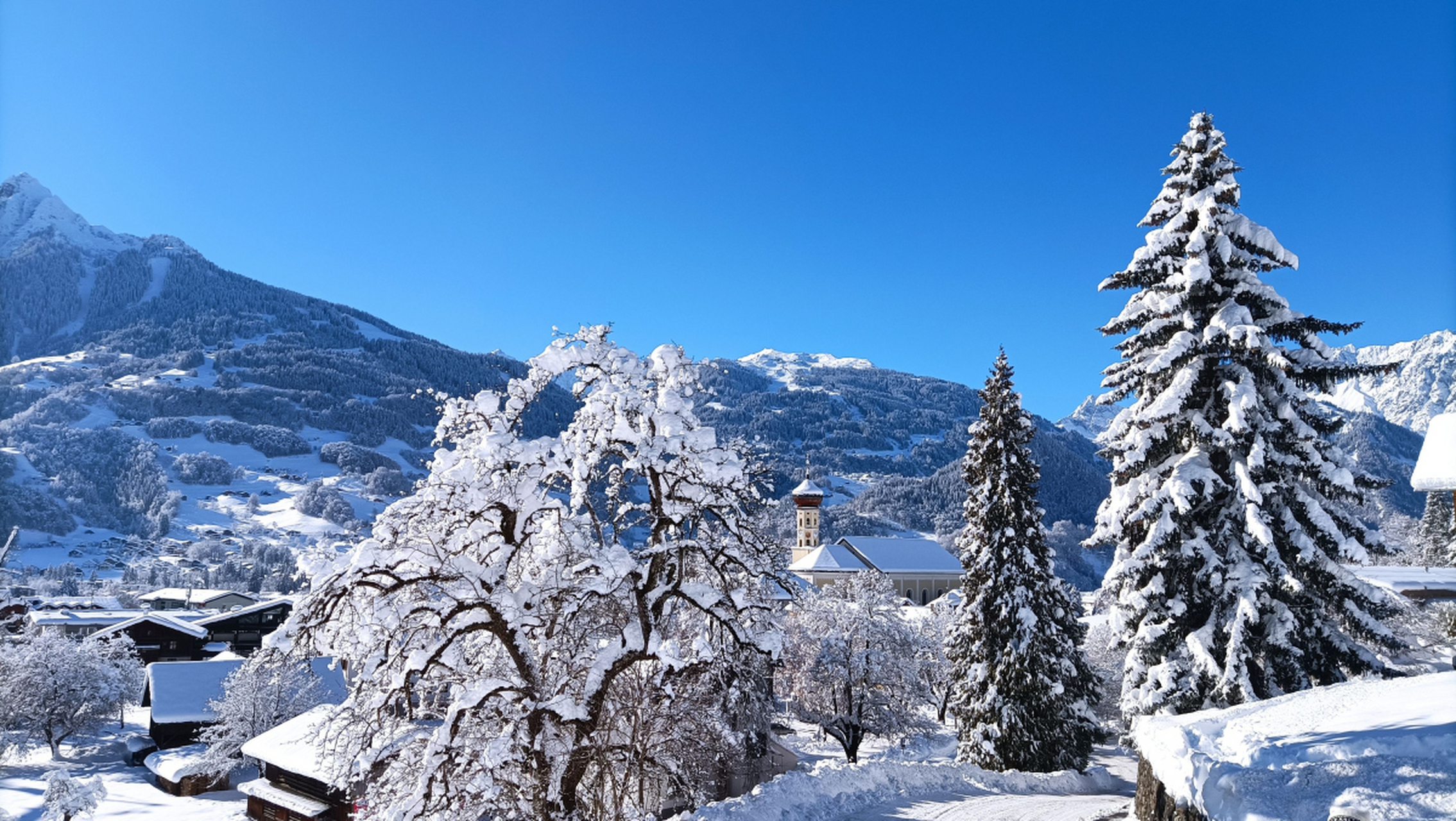 西岭雪山大雪塘图片