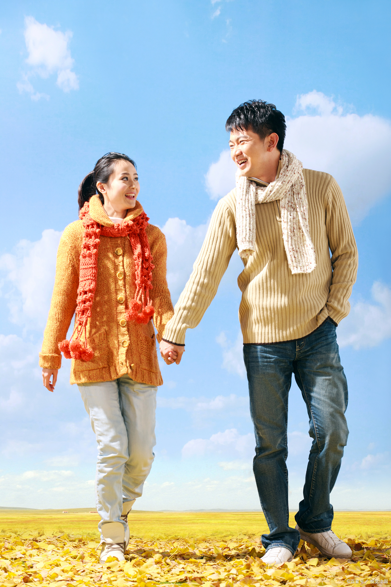 你再有本事,在夫妻相处时,要懂得"牛蝇定律"