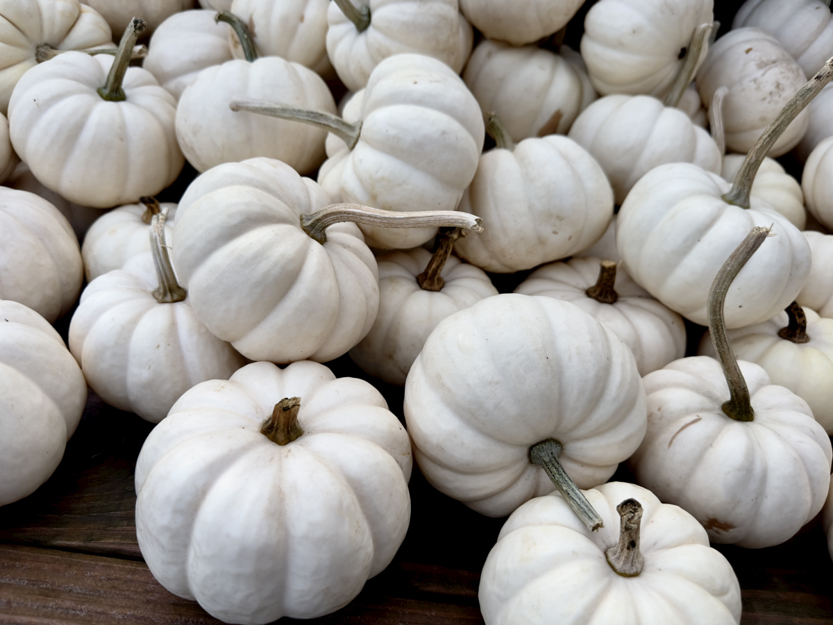 白南瓜怎么做好吃