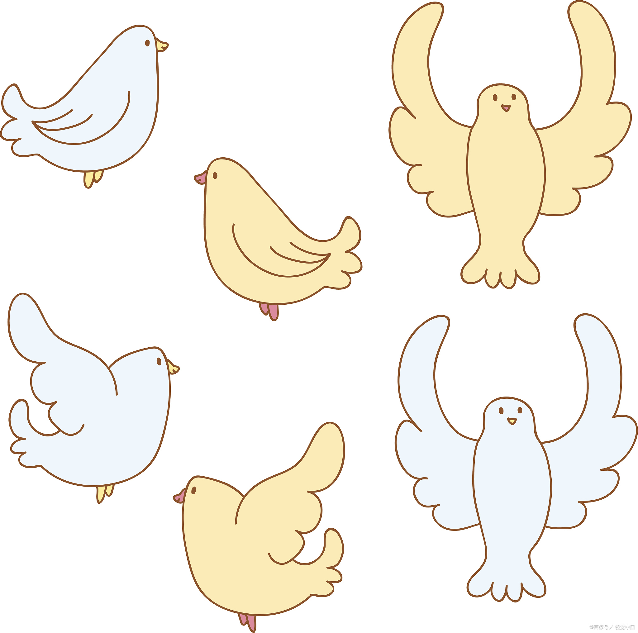 和平鸽的绘画技巧与内涵解析