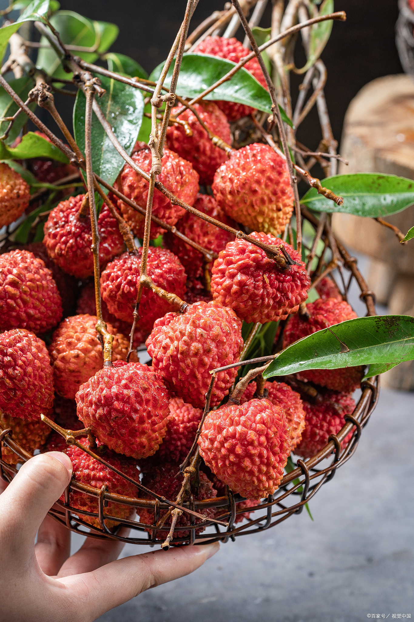 传统文化中的荔枝与龙眼:寓意与象征