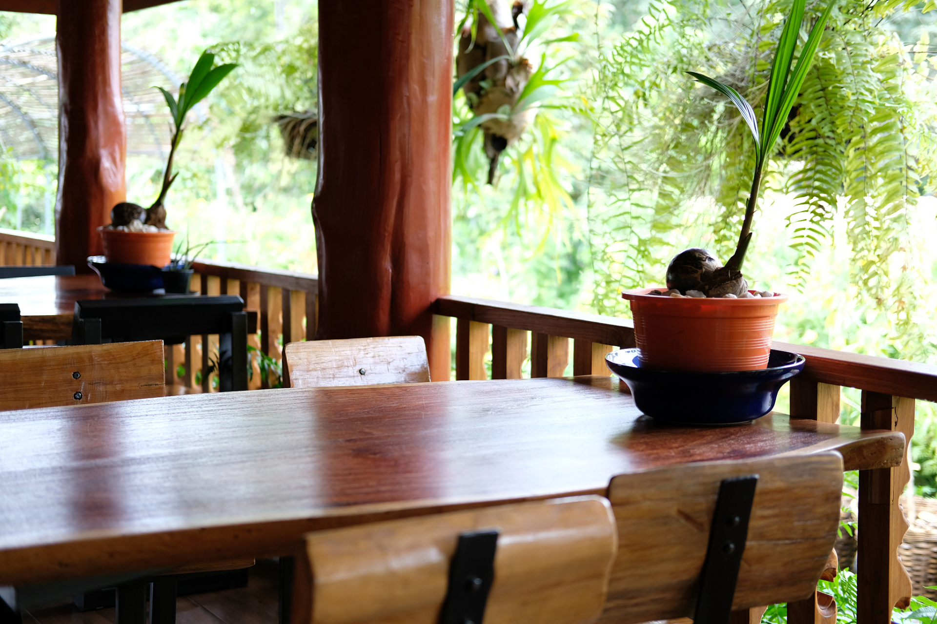 山水之間,隱居著一處小屋 門前是一片茶園,綠油油的茶樹 閒暇之餘,我