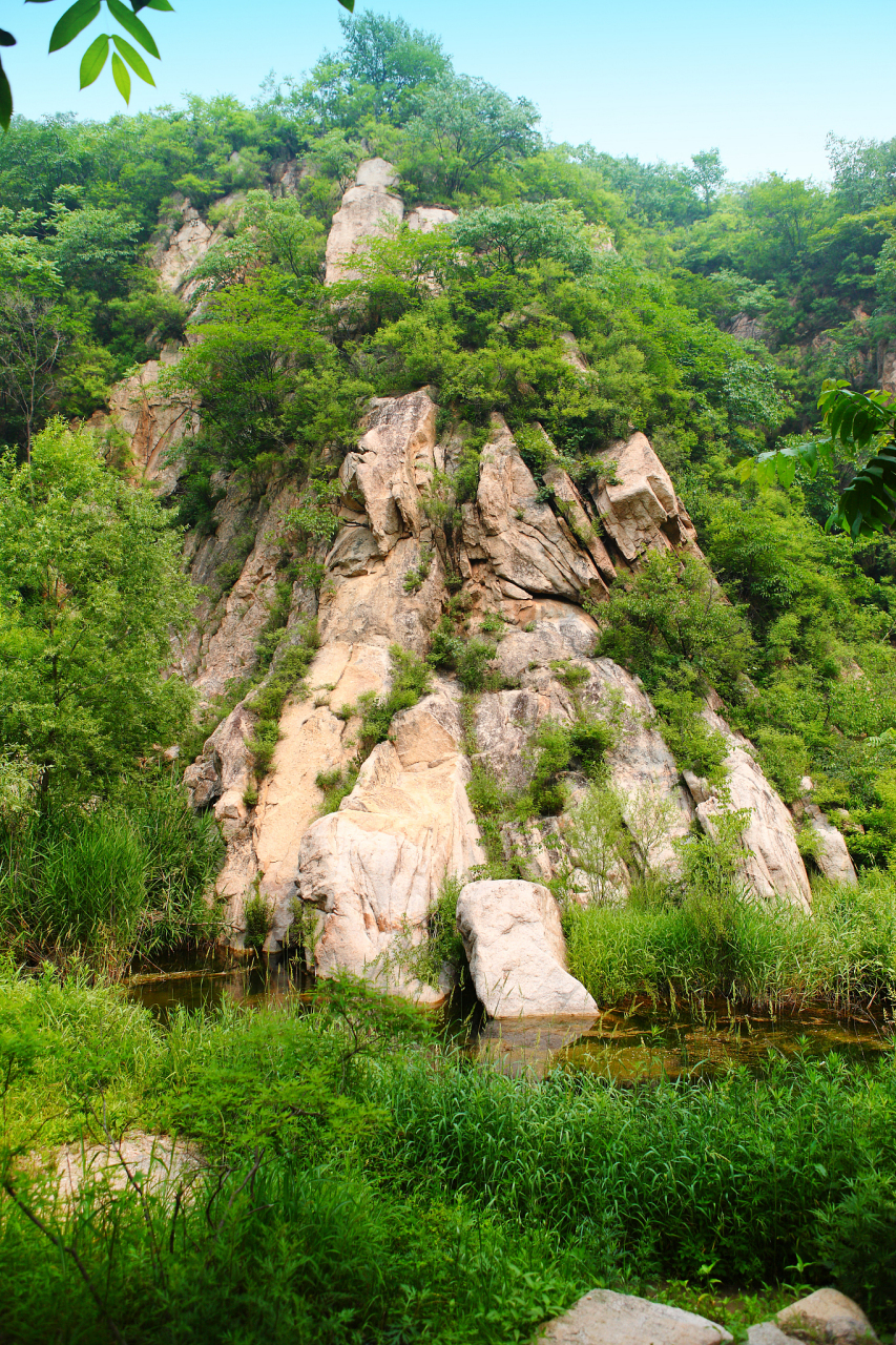 隋唐时期的李密是在熊耳山被杀,到底是山东枣庄还是河南洛阳?