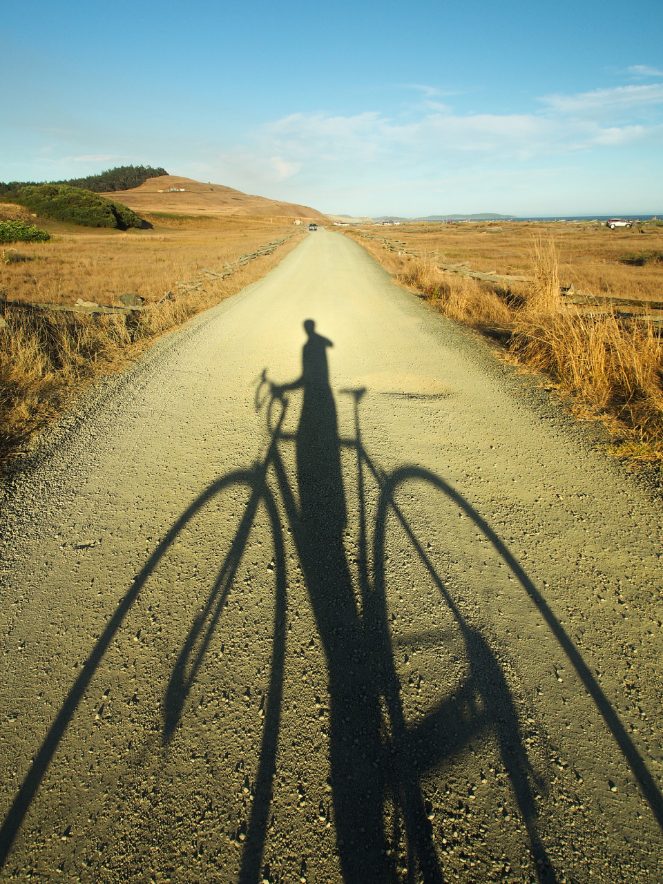人生的旅途,仿佛是一场漫长的马拉松比赛,我们不断地奔跑,不断地面