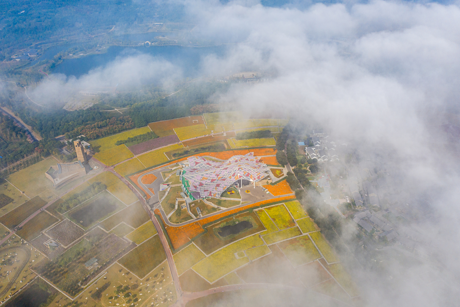 想要找个地方放松心情,宿迁三台山森林公园是个不错的选择.