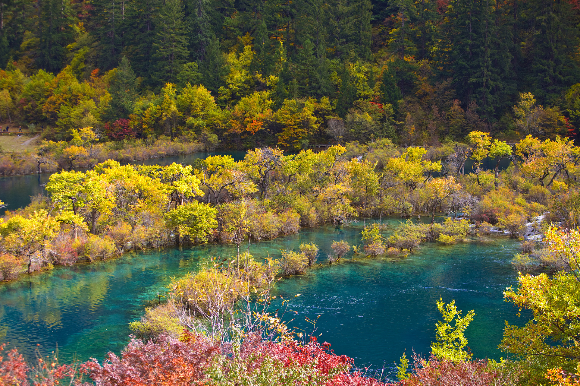 除了湖泊,九寨沟的瀑布也是秋天的亮点之一.