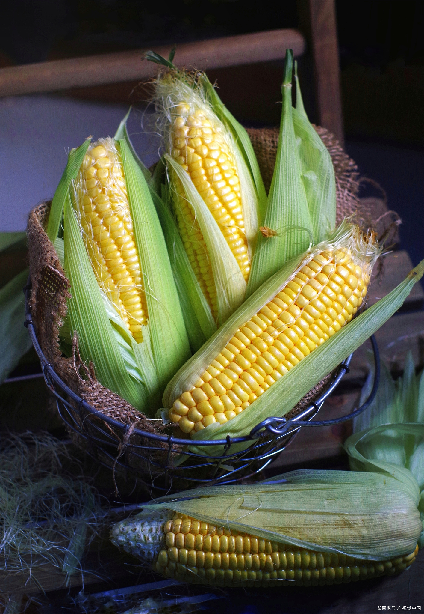 冬日的限定快乐# 来吉林品尝山地糯香玉米