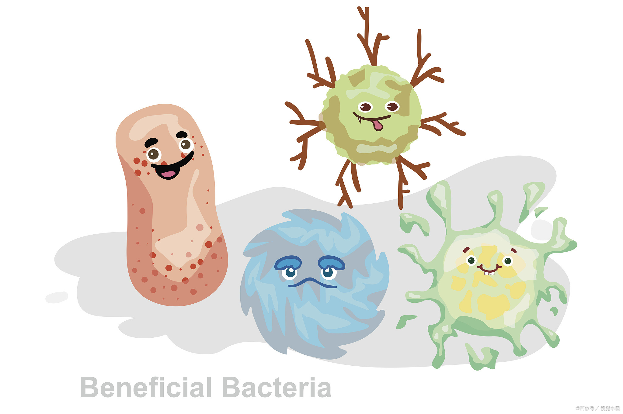 乳酸菌示意图图片