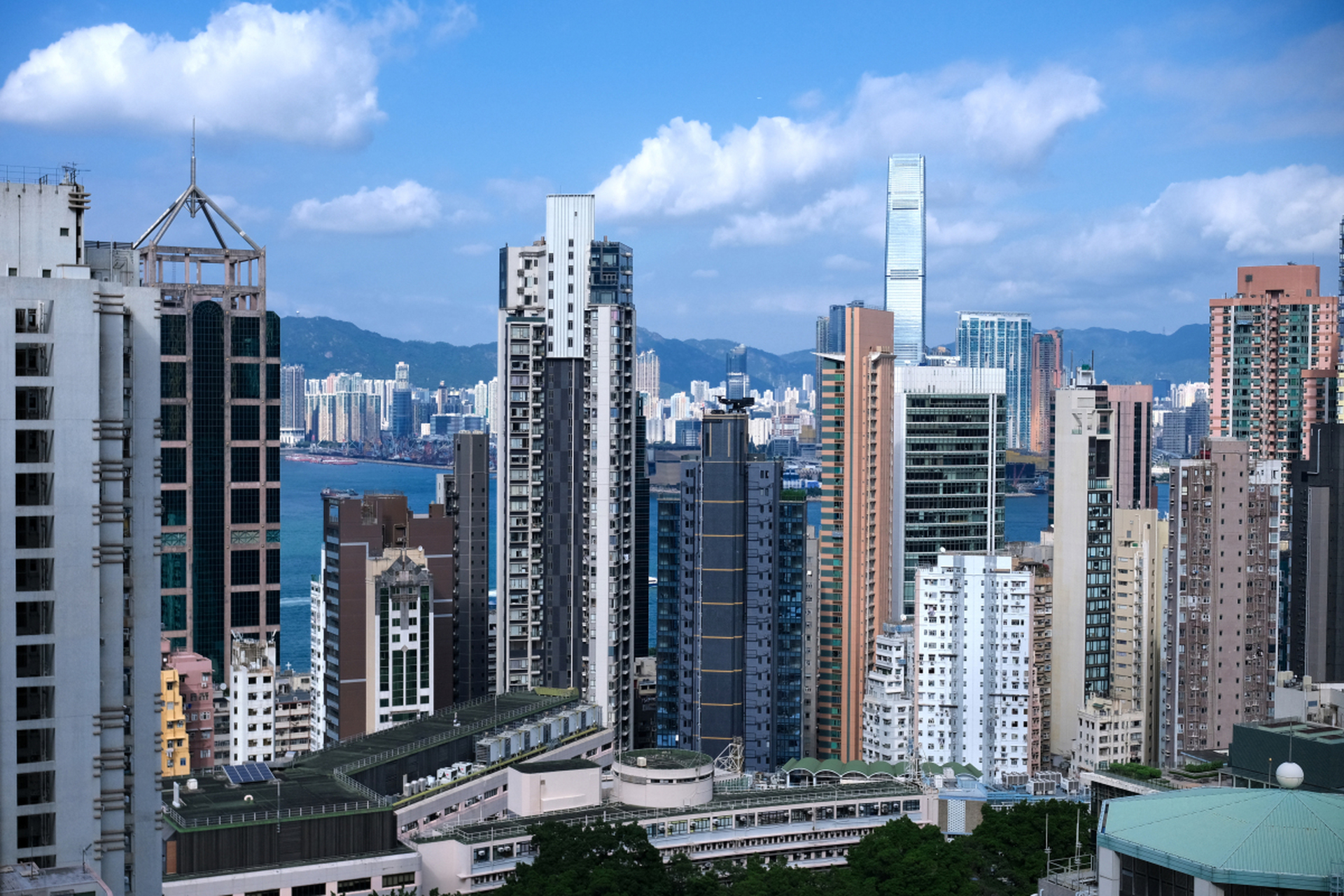 [原文:香港大学选文科还是