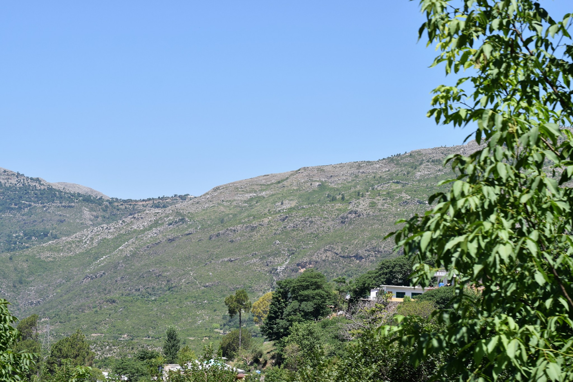 寿阳鹿泉山,春意盎然.这里不仅是自然的馈赠,更是心灵的栖息地.