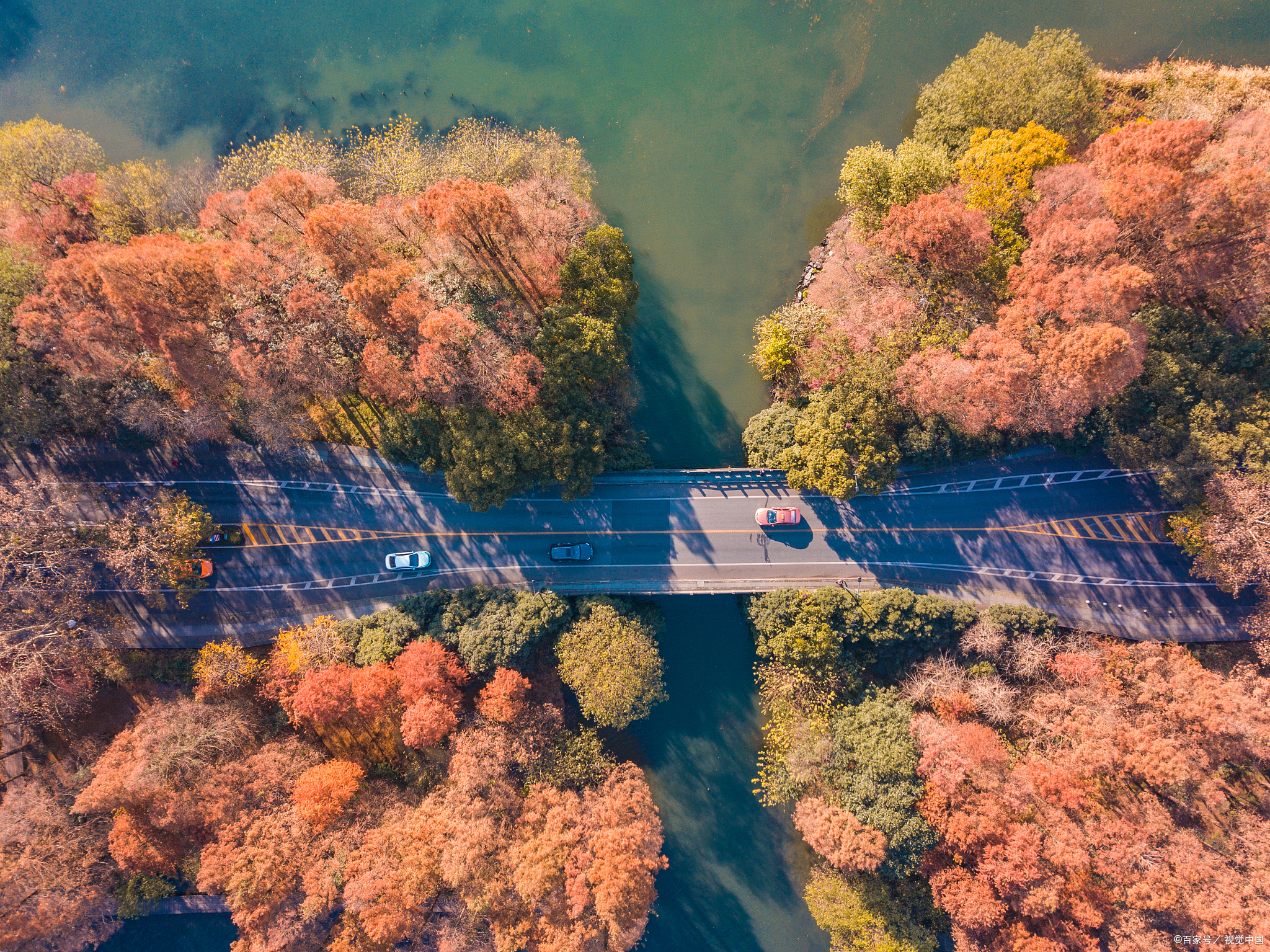 秋日胜景!杭州淳安千岛湖红叶湾泛舟!
