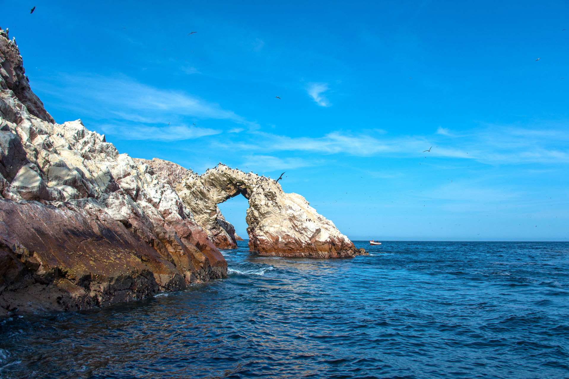 美丽的海景图片大全图片