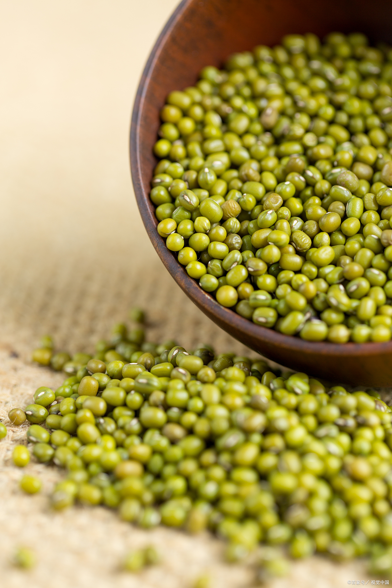 绿豆汤的营养做法,夏日消暑的神器