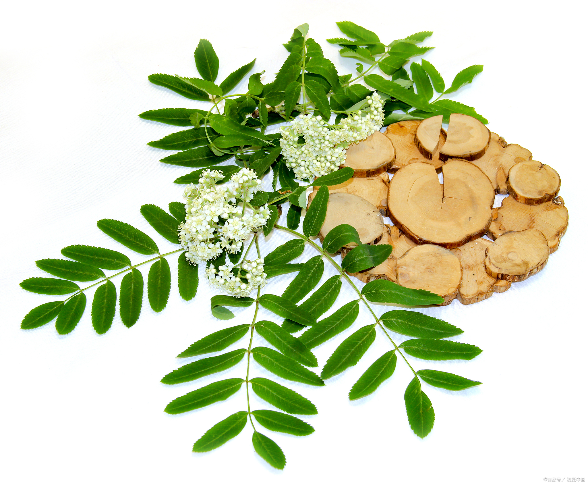 中药甘草,在化妆品中起什么效果?