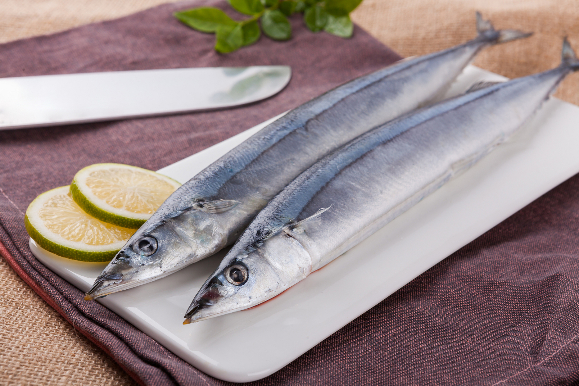 秋刀鱼,在日本是美食界的明星,但在中国却像颗未被发现的宝石.