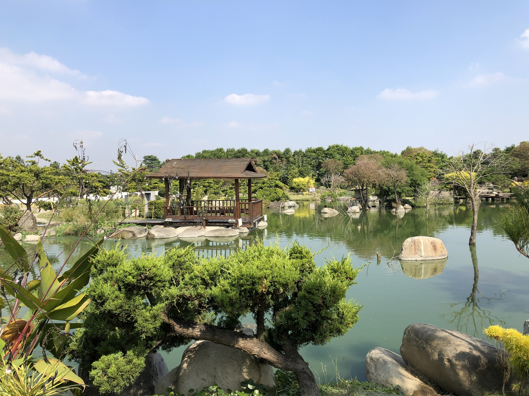 江苏绿意,尽在高淳武家嘴热带风情谷.