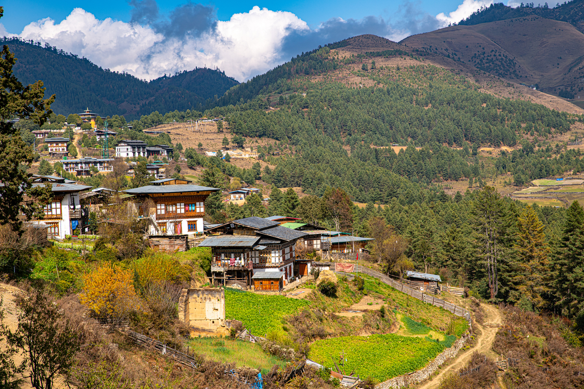 藏族传统文化的重要发源地之一,云南省迪庆藏族自治州德钦县云岭乡