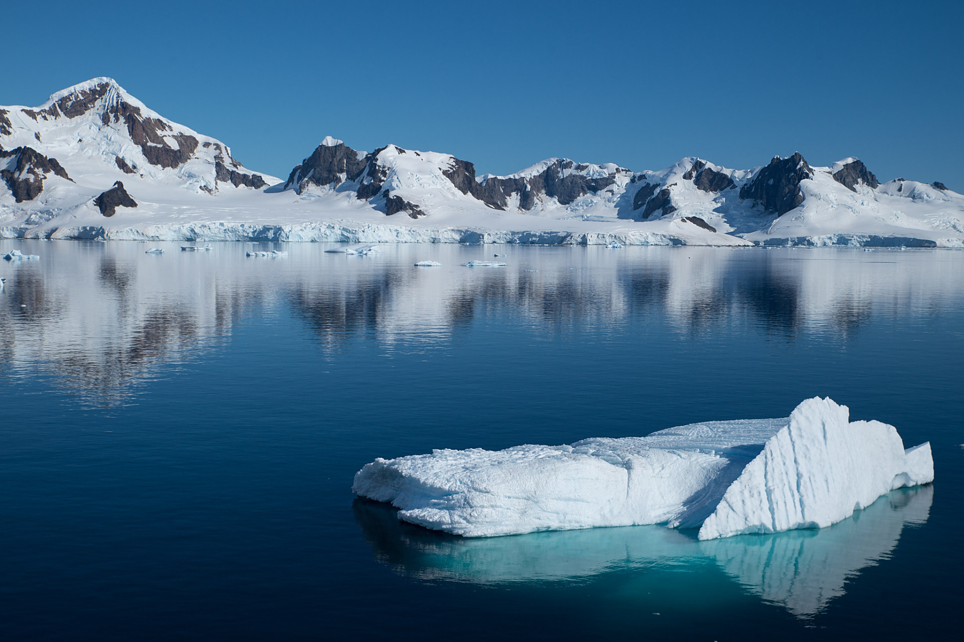 看过一个故事:有个小男孩自幼丧父,一直与母亲相依为命.