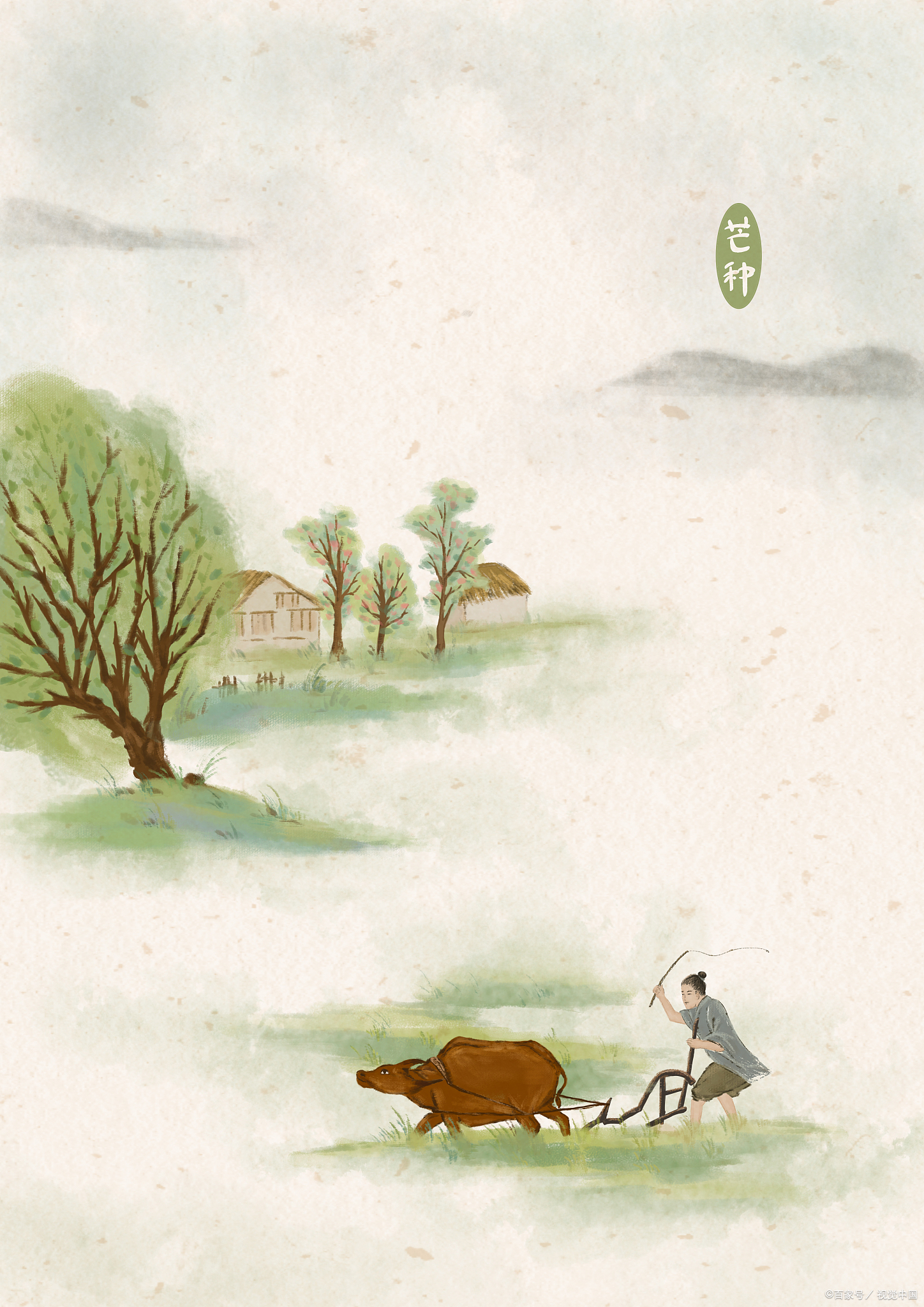 二十四节气之芒种忙有所获芒有所得