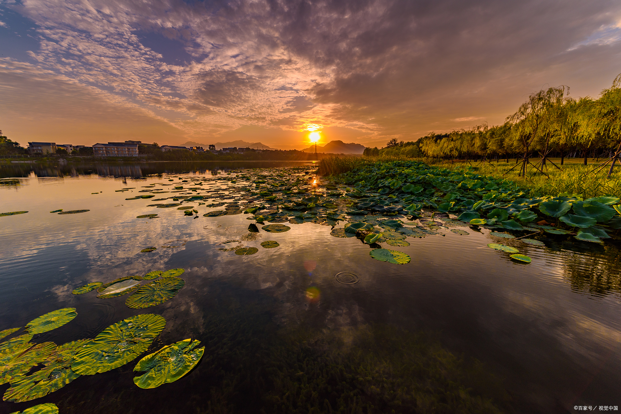 金湖荷花荡夕阳,夏季落日湖色,摄影创作推荐!
