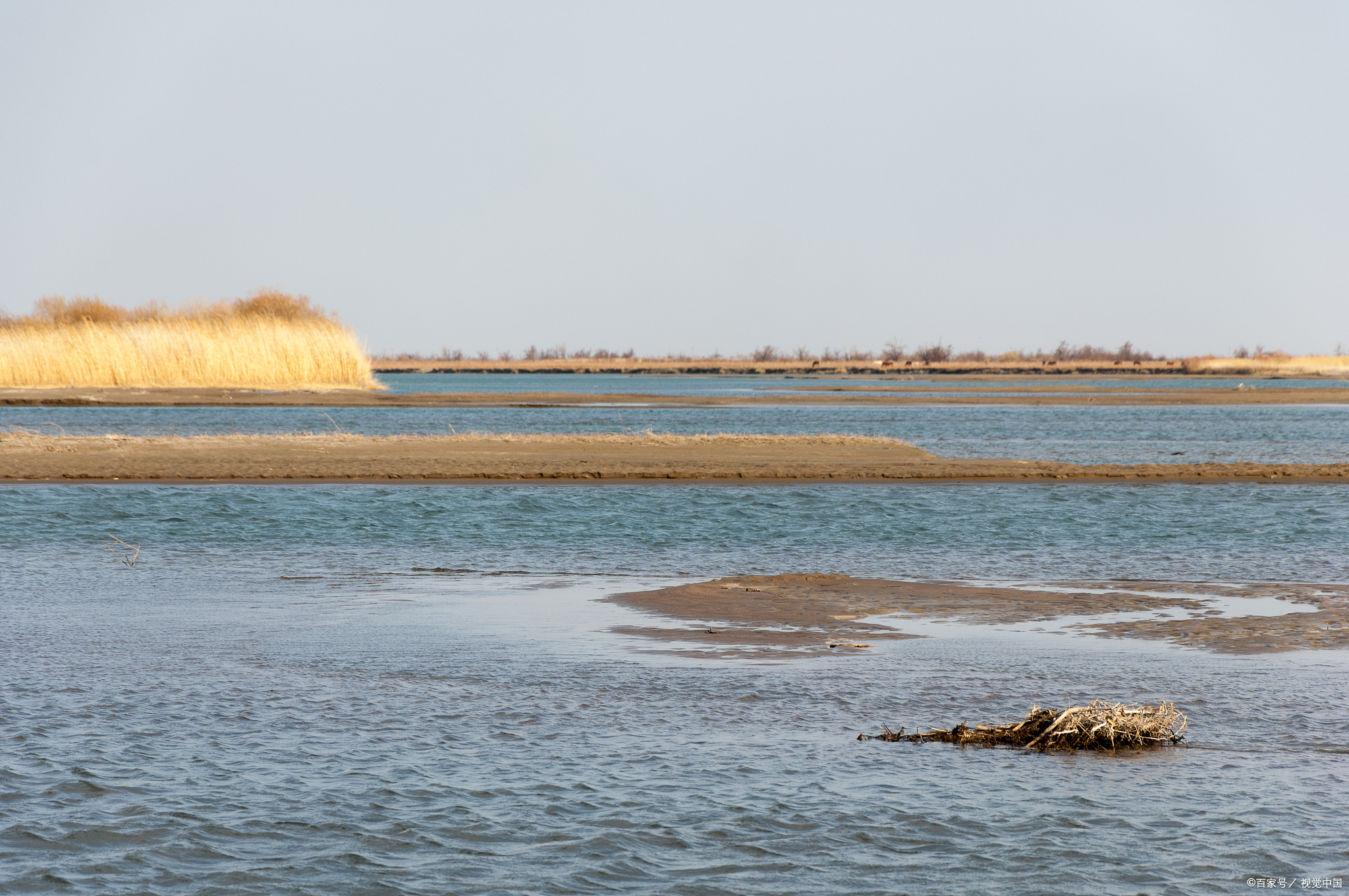 鄱阳湖:长江流域的生态瑰宝,世界自然基金会的重要保护区