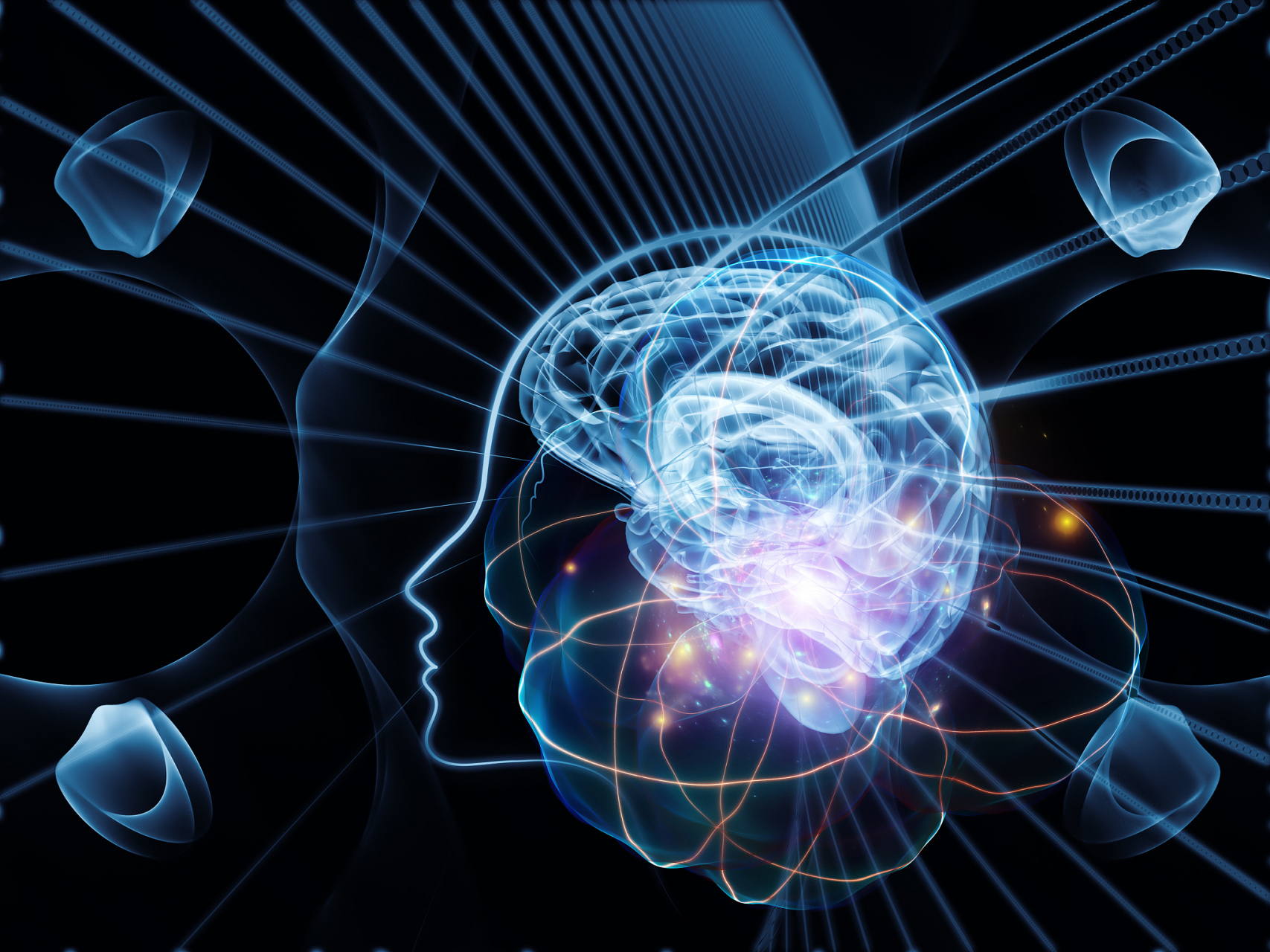 神经科学是一个跨学科的学科,涉及生物学,心理学,神经科学等多个领域.