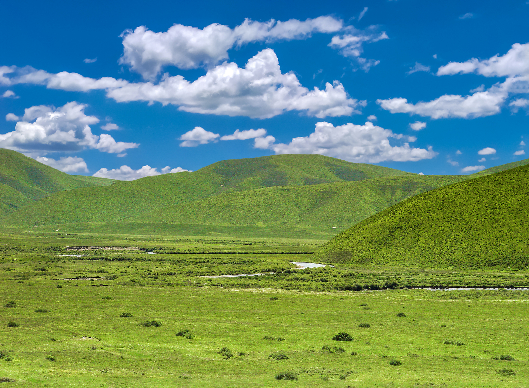 四川旅游# 你是否想过和你的ta一起去一片广袤的草原,感受自然的魅力