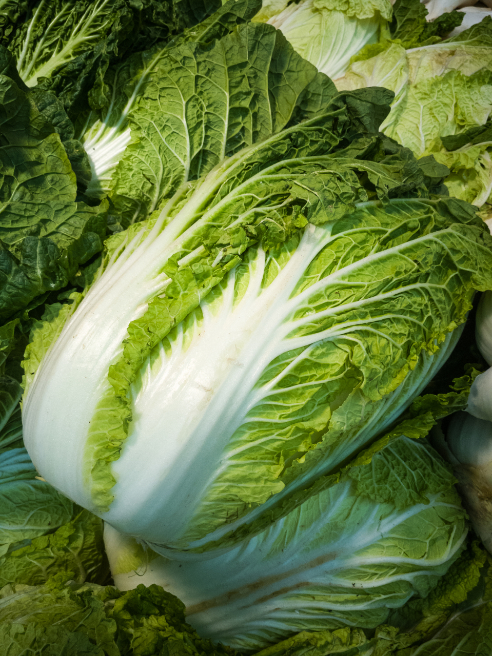 5种蔬菜是甘油三酯的克星,你若爱吃,血管干净一新 1,白菜——含有非常