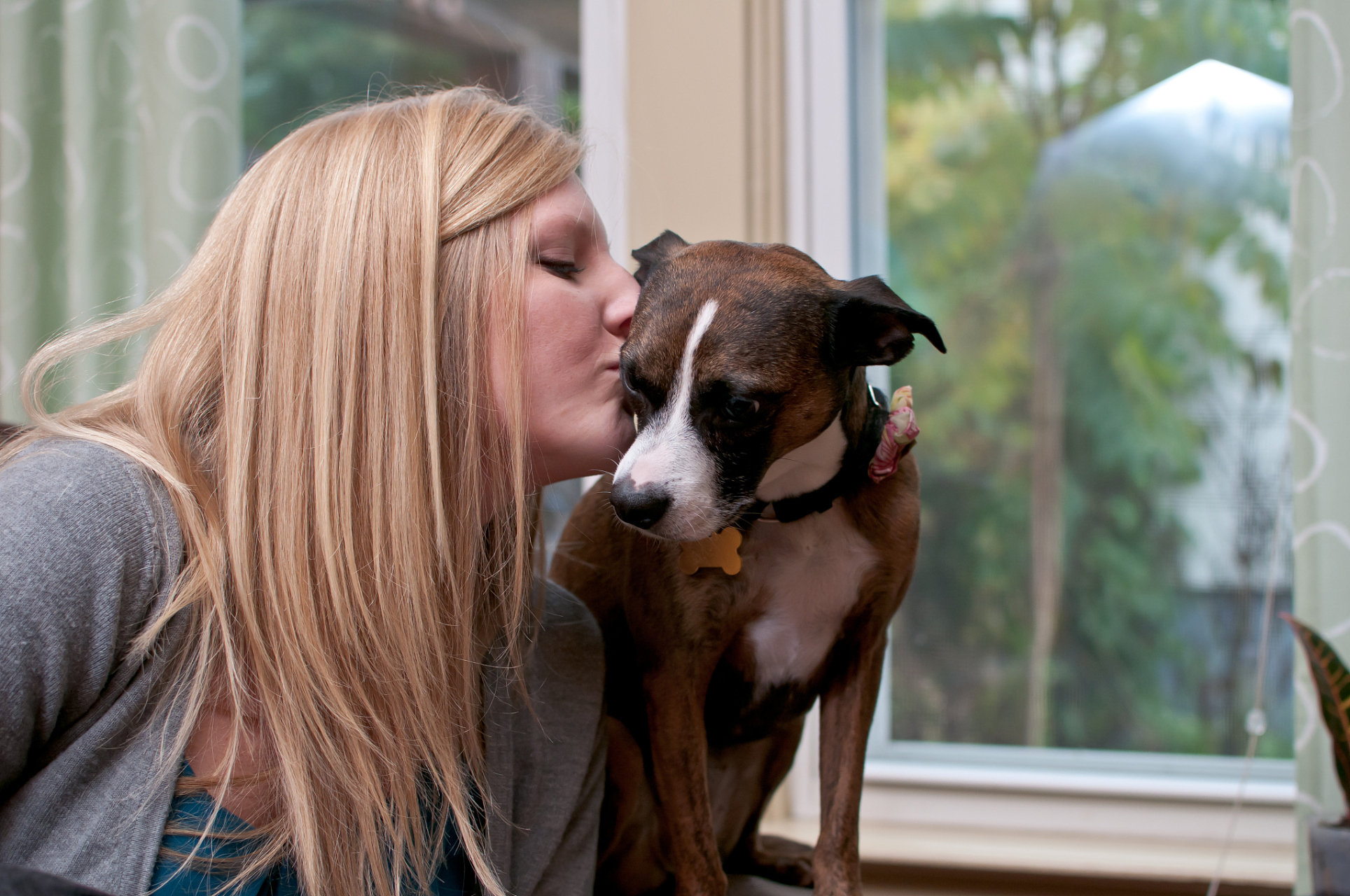 但其效果存在争议,长时间的闭锁可能对狗狗有害.