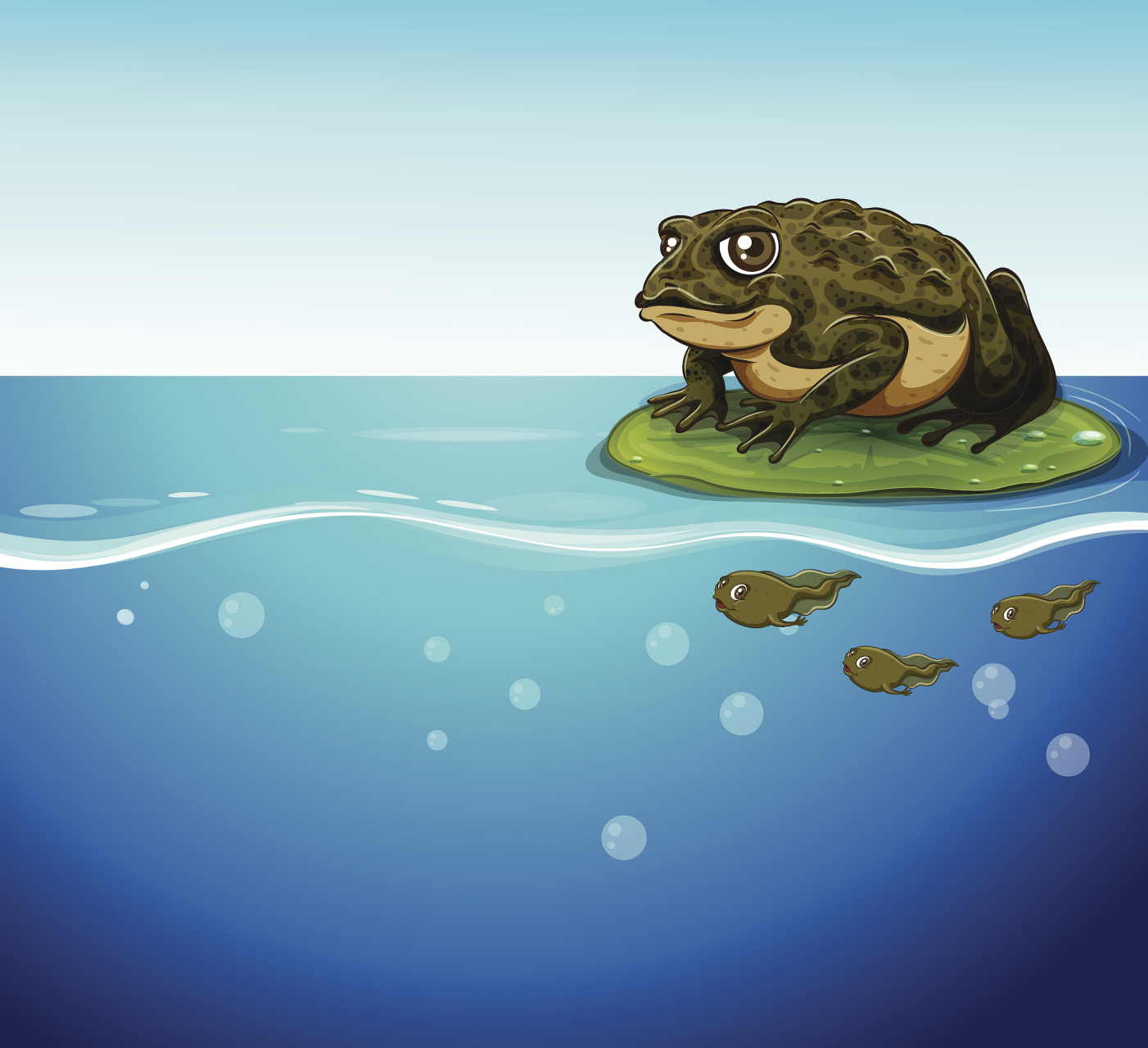 仔细一听, 是一群水族在哭