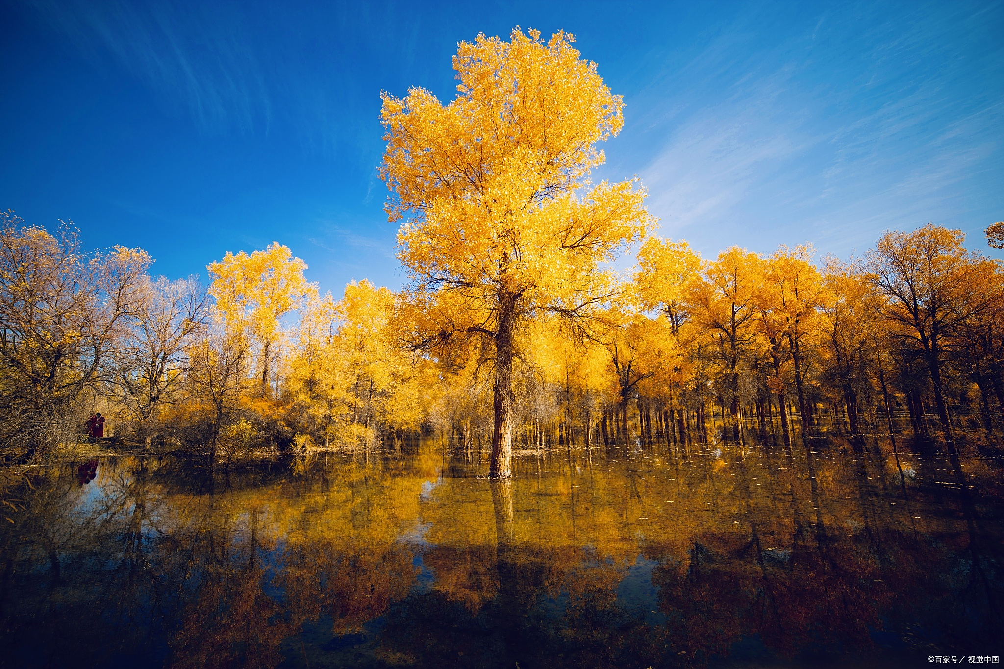 胡杨林最佳观赏期