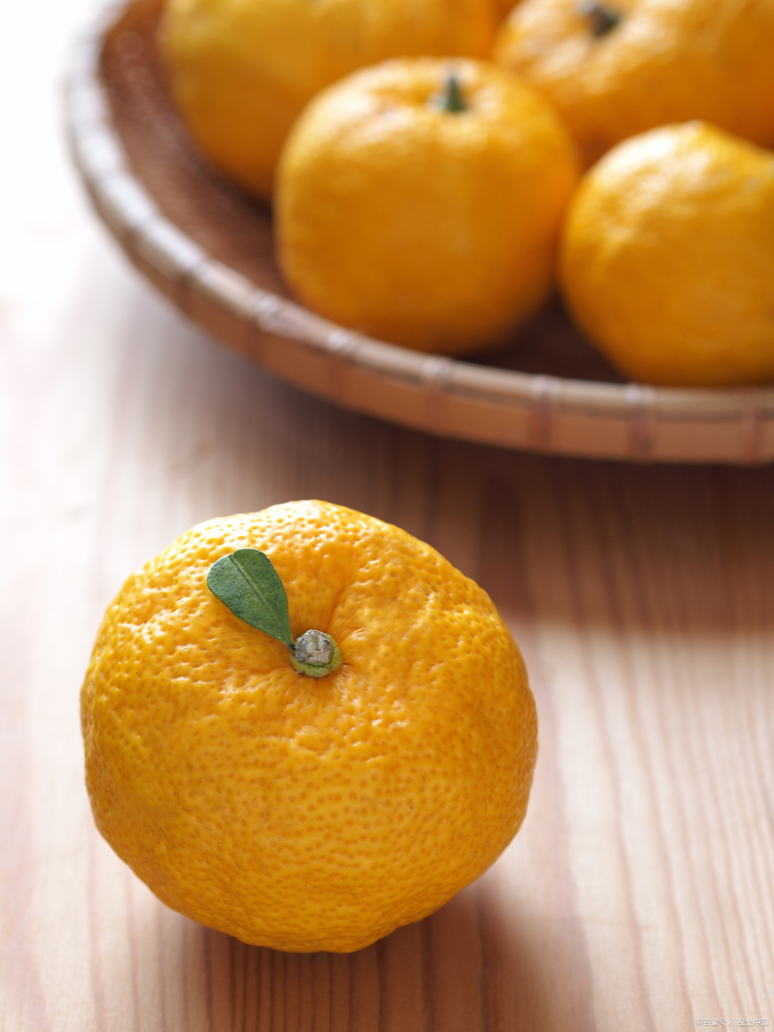 野生柚>葡萄柚酸橙 香橼>柠檬……>葡萄柚遗传了柚子特有的"柚皮素"