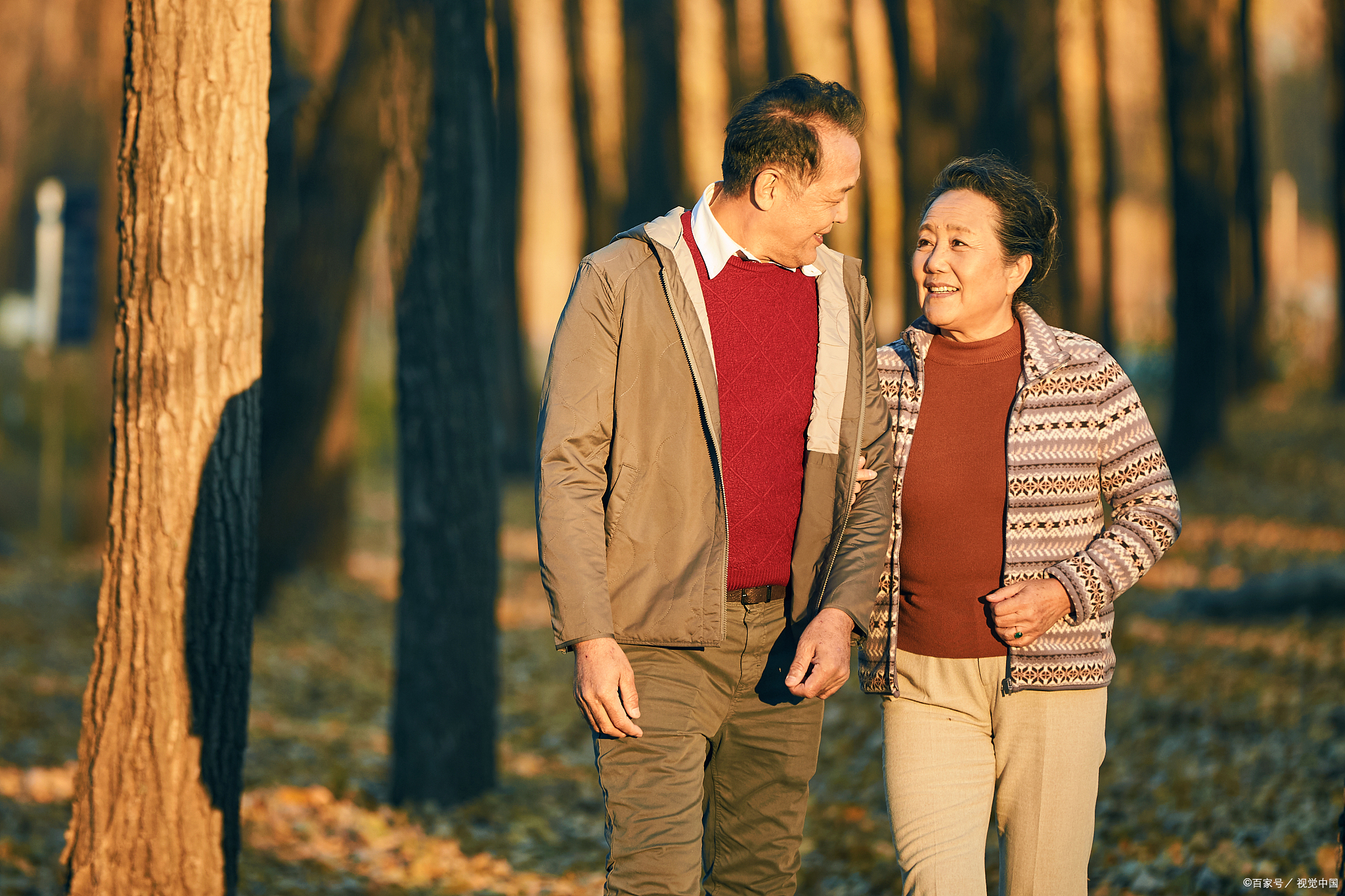 晚年伴侣新风尚:搭伙过日子的利与弊
