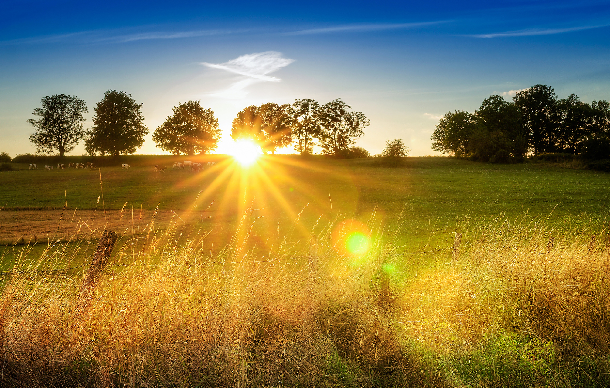 2,超越自己,让生命更加辉煌. 3,不断超越自己,才能不断进步.