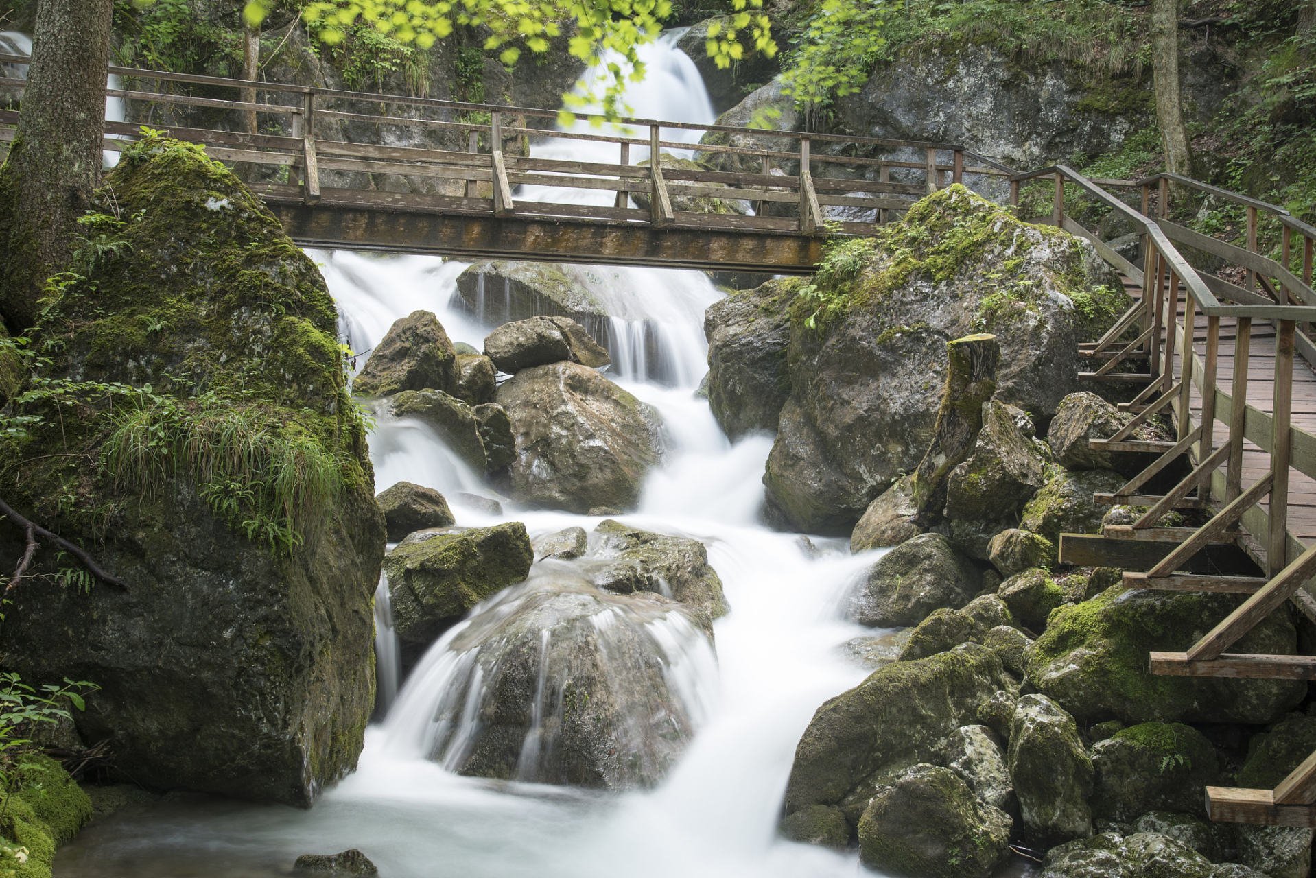 夏日闪光旅行家# 牯牛降是一处原始的自然保护区,山峦起伏,森林茂 ..