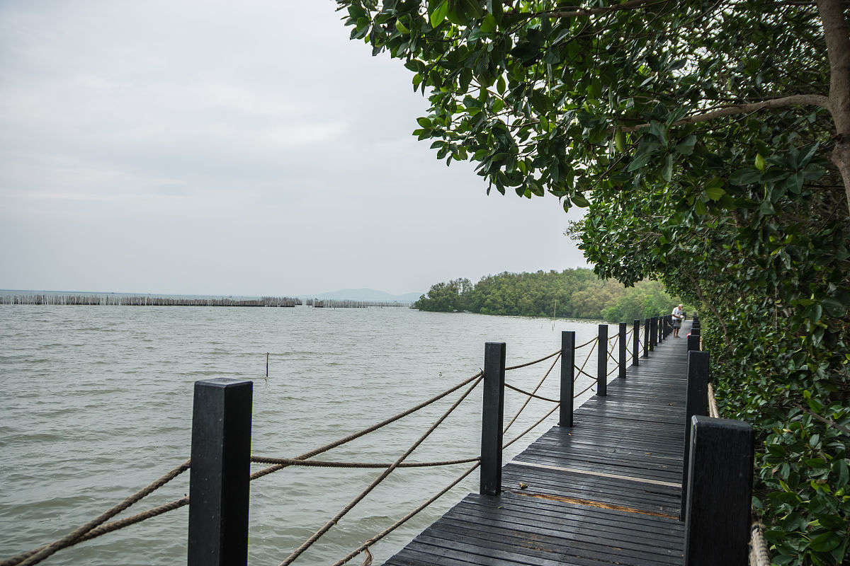 巢湖市的白鹭洲风景区适合夏天游玩吗?