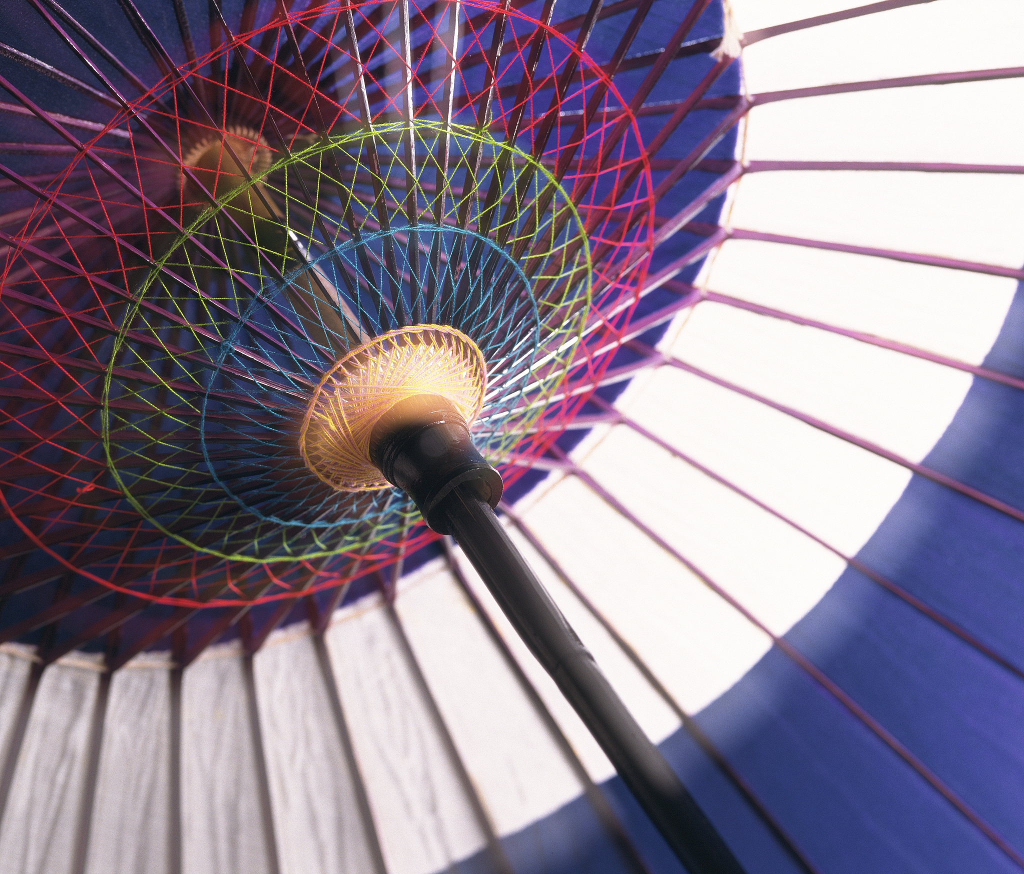 出行必备的"懒人伞",成为了人人追捧的实用工具