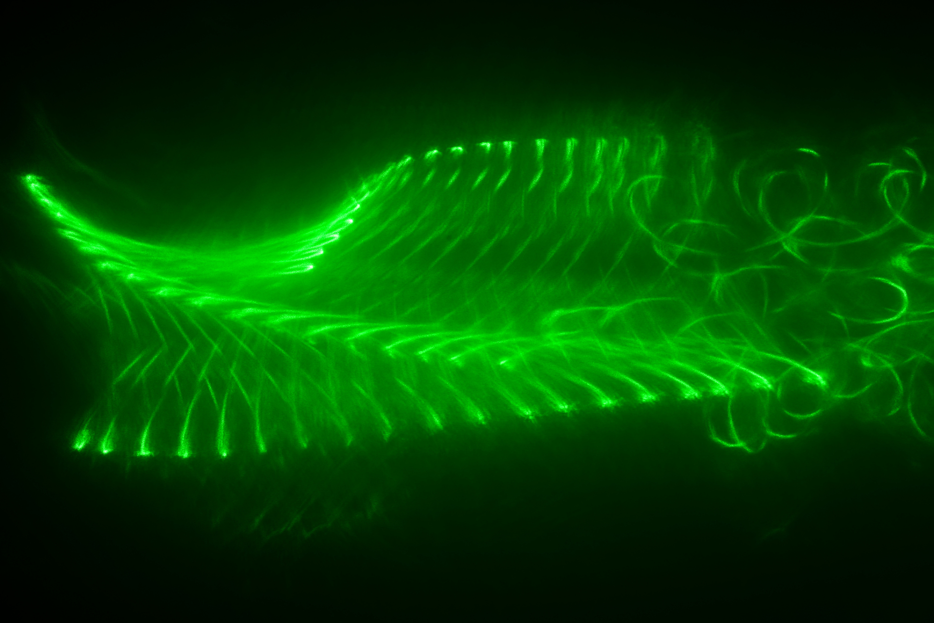 最小的生物发光体: 最小的生物发光体可能是一些微生物
