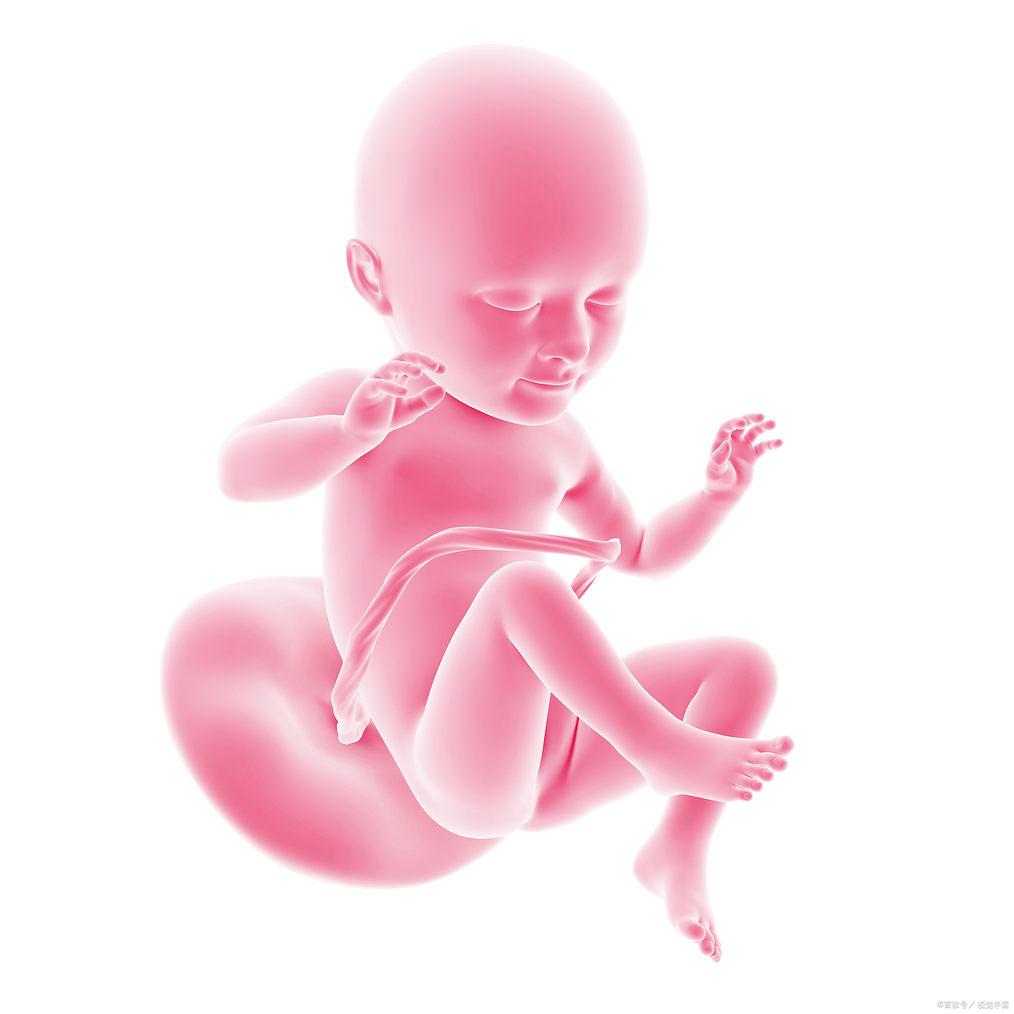 不用精子卵子子宫科学家培育出胚胎的简单介绍