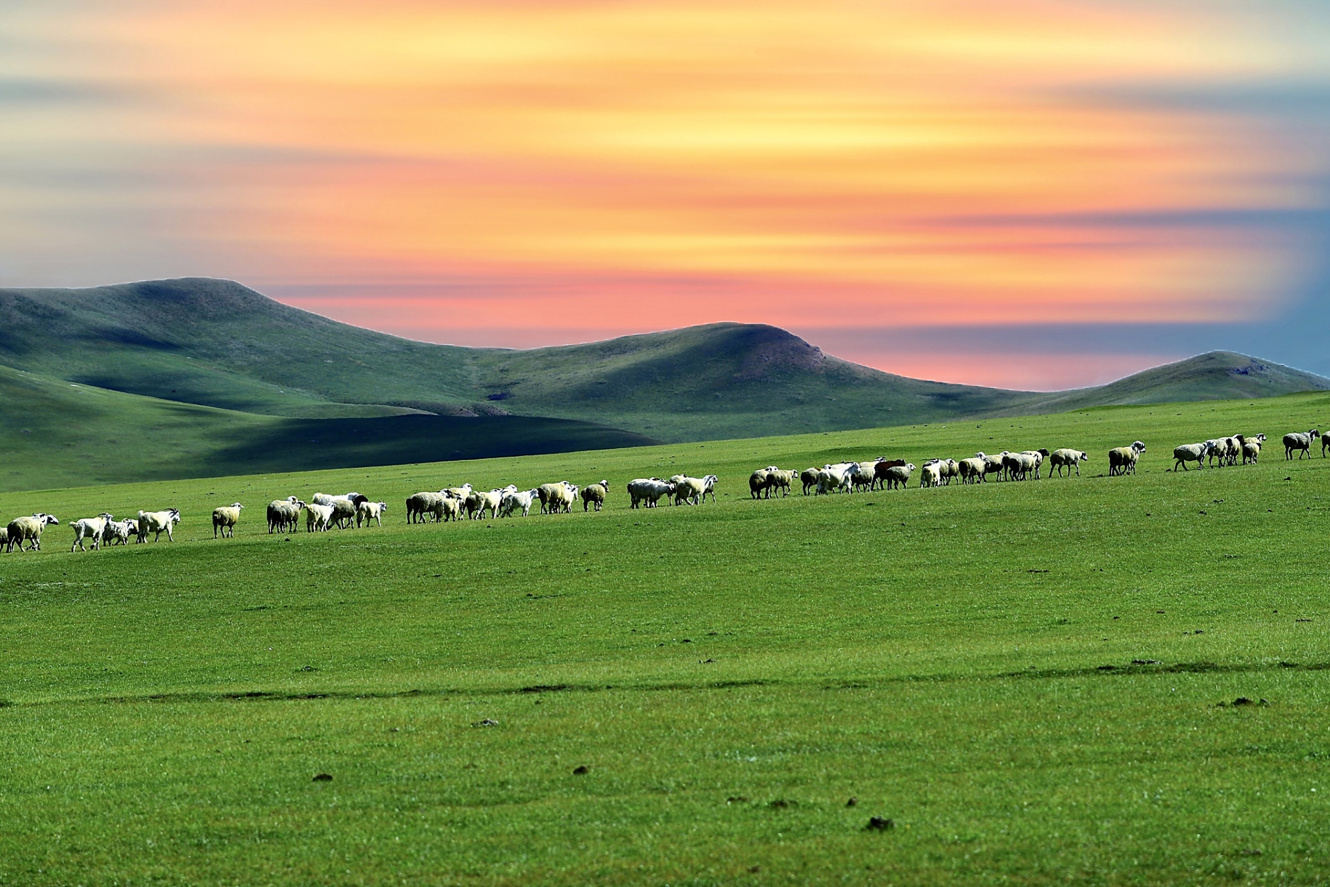 巴音布鲁克草原几月份最美?