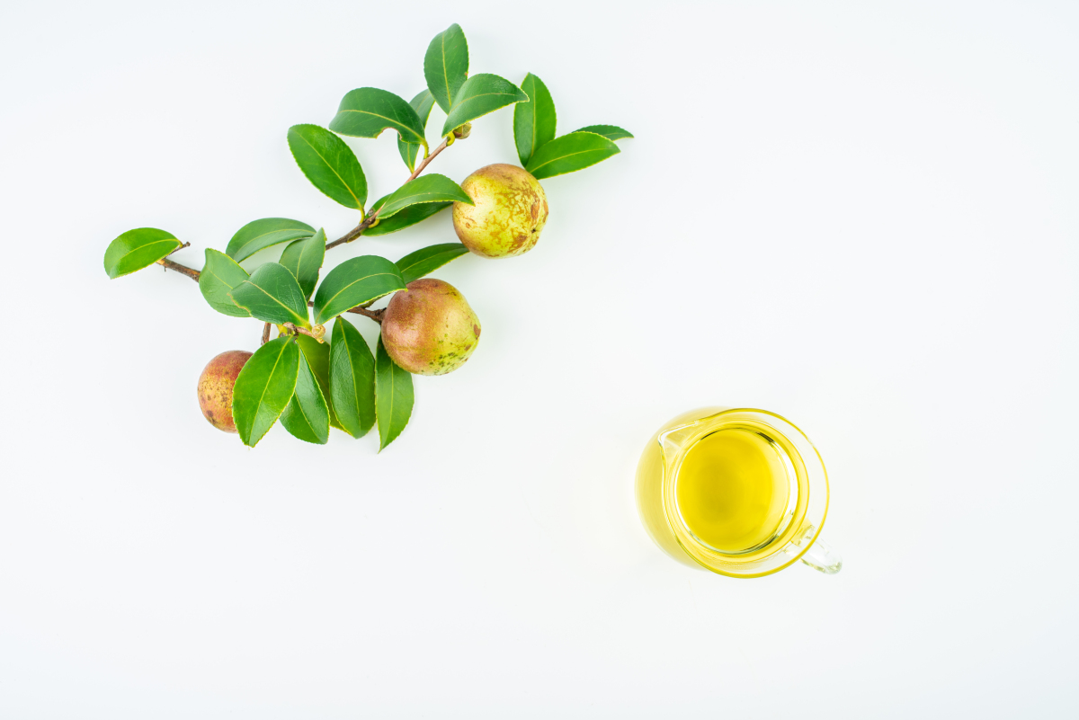 茶油被誉为油中之王,为何现在很少有人吃了呢?