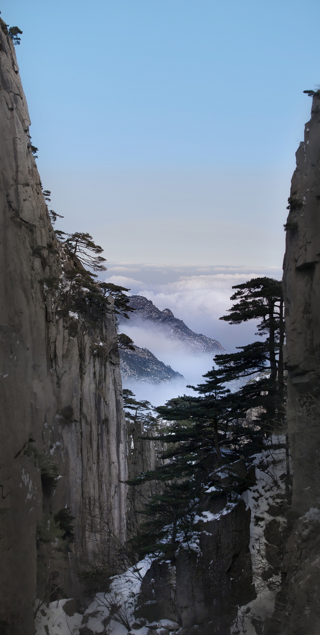 山都有轮休,我却没轮休!黄山天都峰轮休归来,经历了5年的休养生息,想