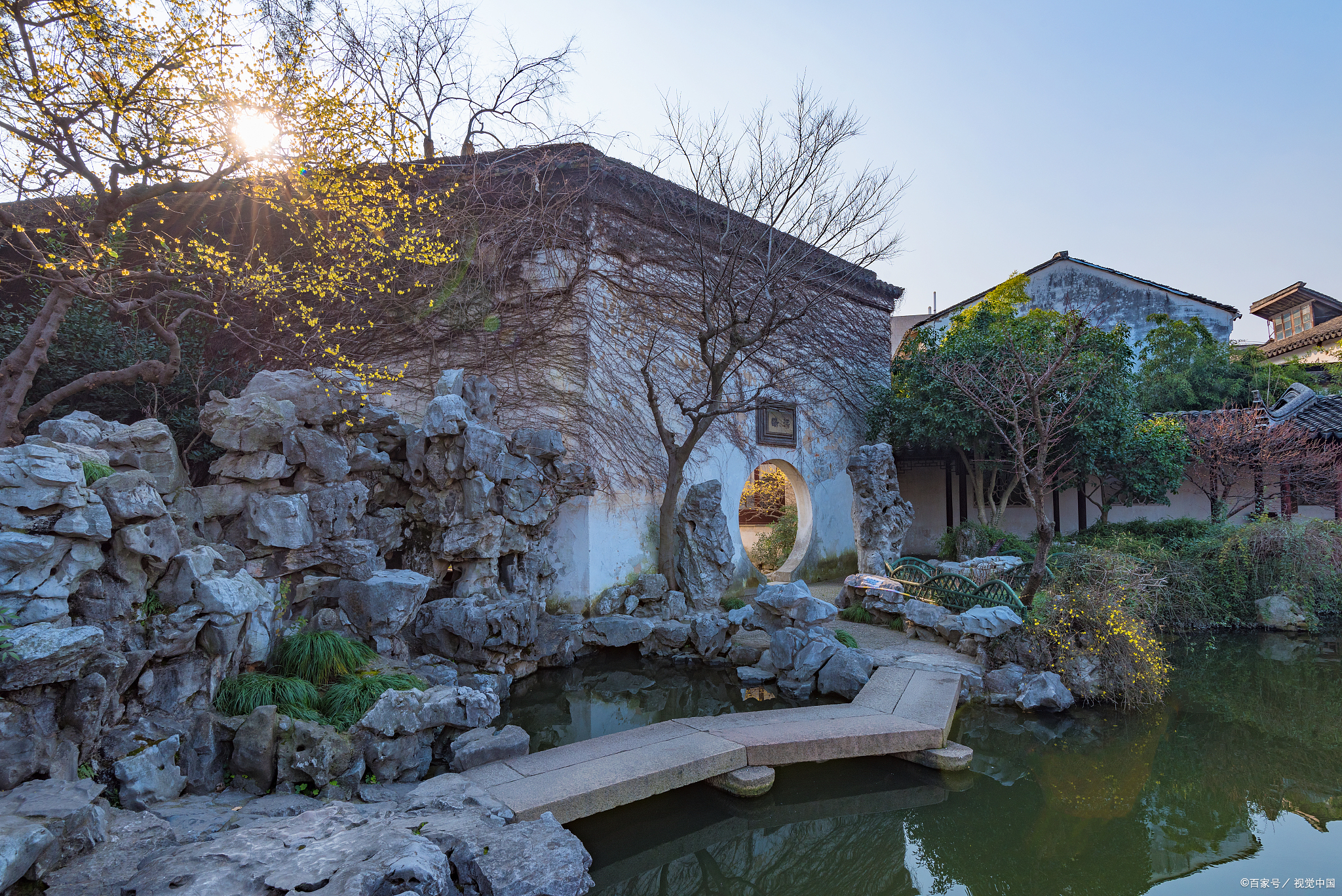 绩溪紫园,一个充满紫色浪漫和文化气息的神秘园地,正等你来探秘.