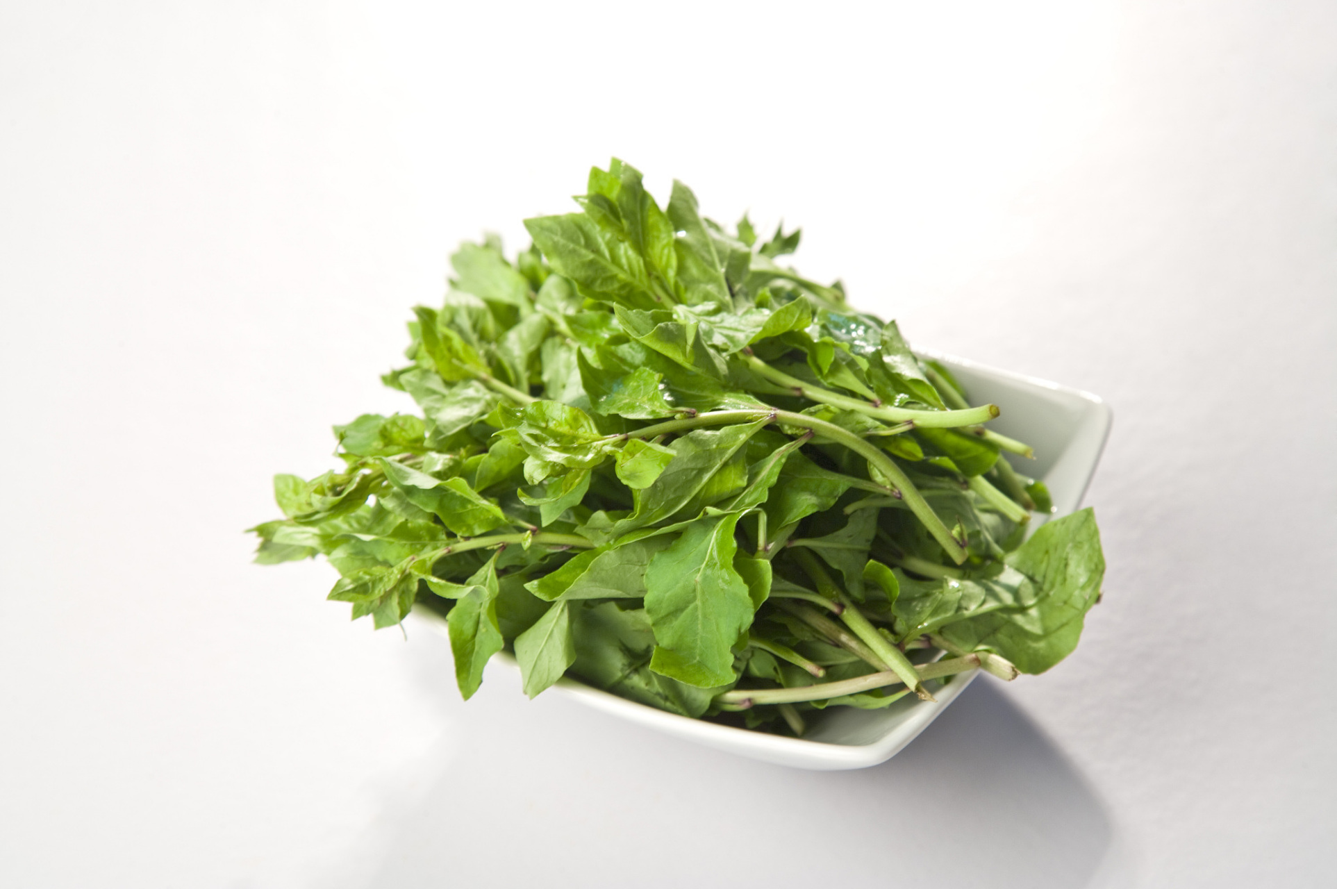 马兰头是常见野菜.富含微量元素硒,ve和胡萝卜素.