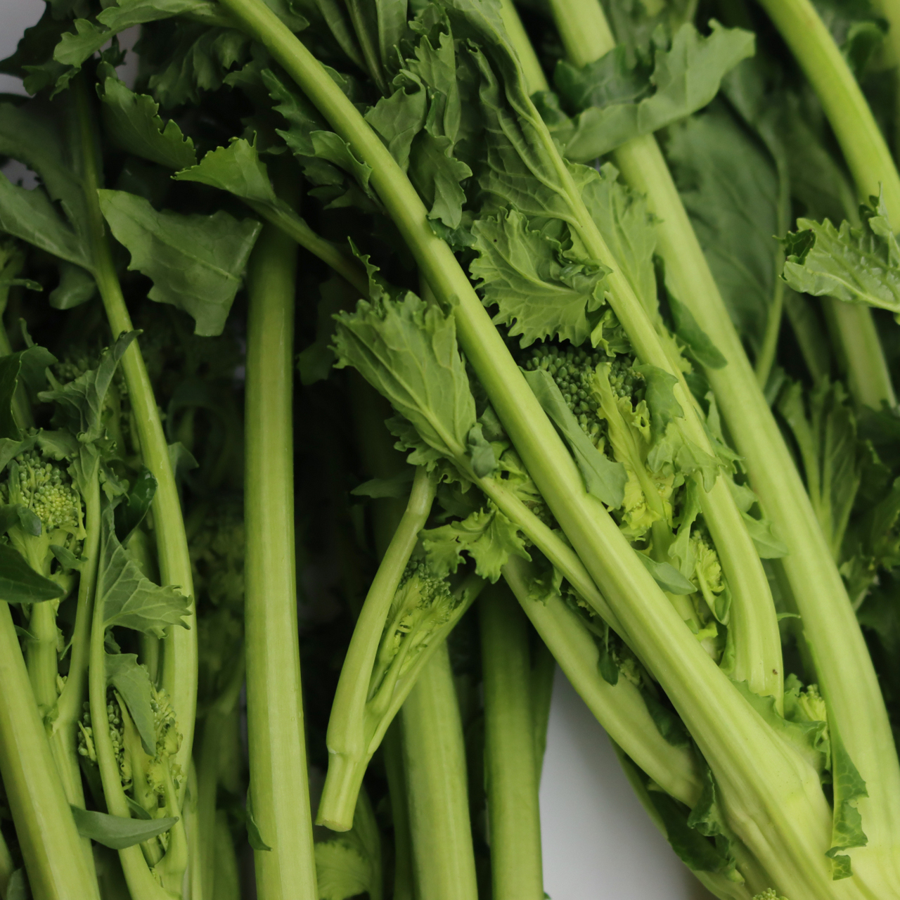 荷兰芹#又称香芹,是一种绿色蔬菜,营养丰富,富含硒和铁等微量元素.