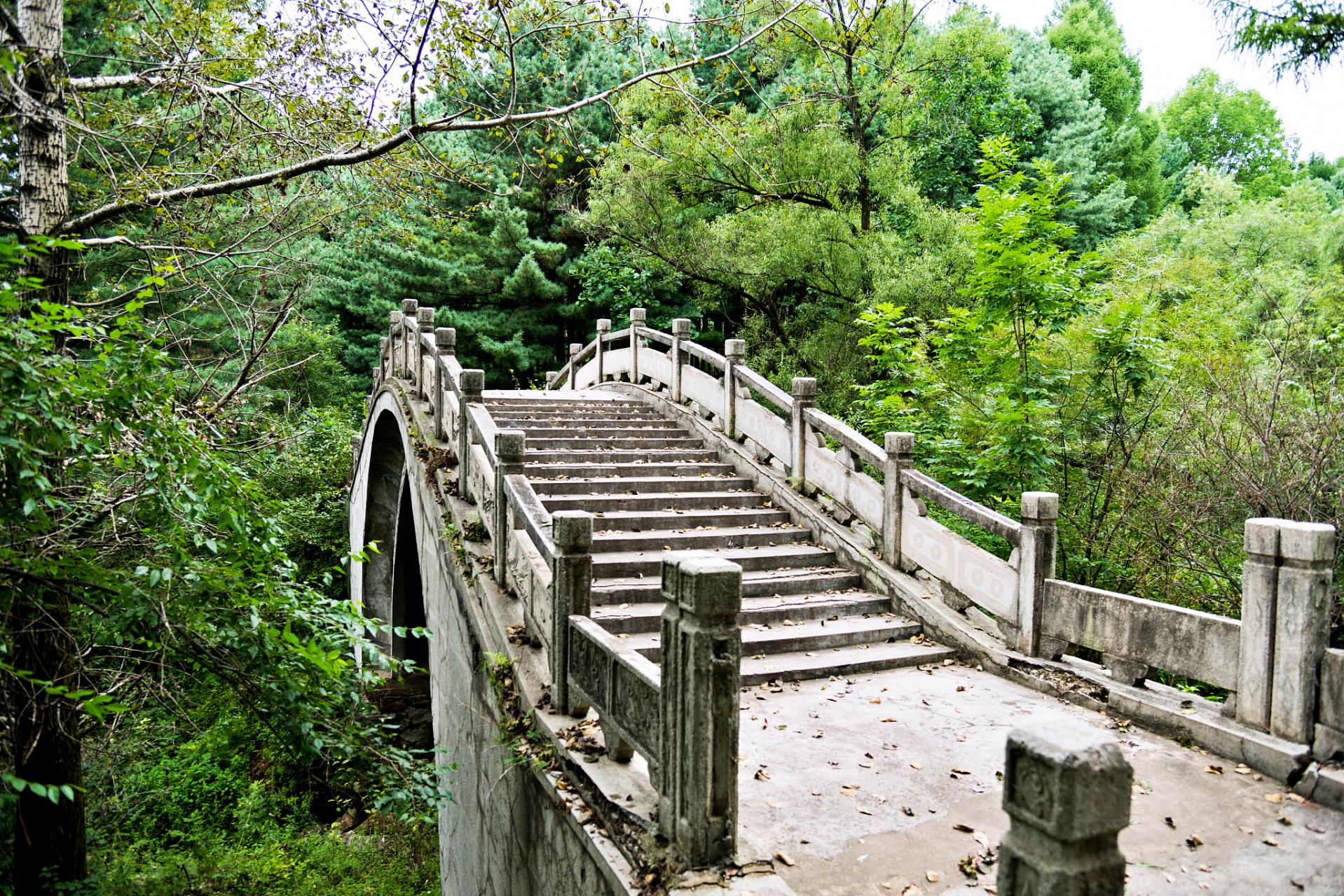 九岭山风景公园图片