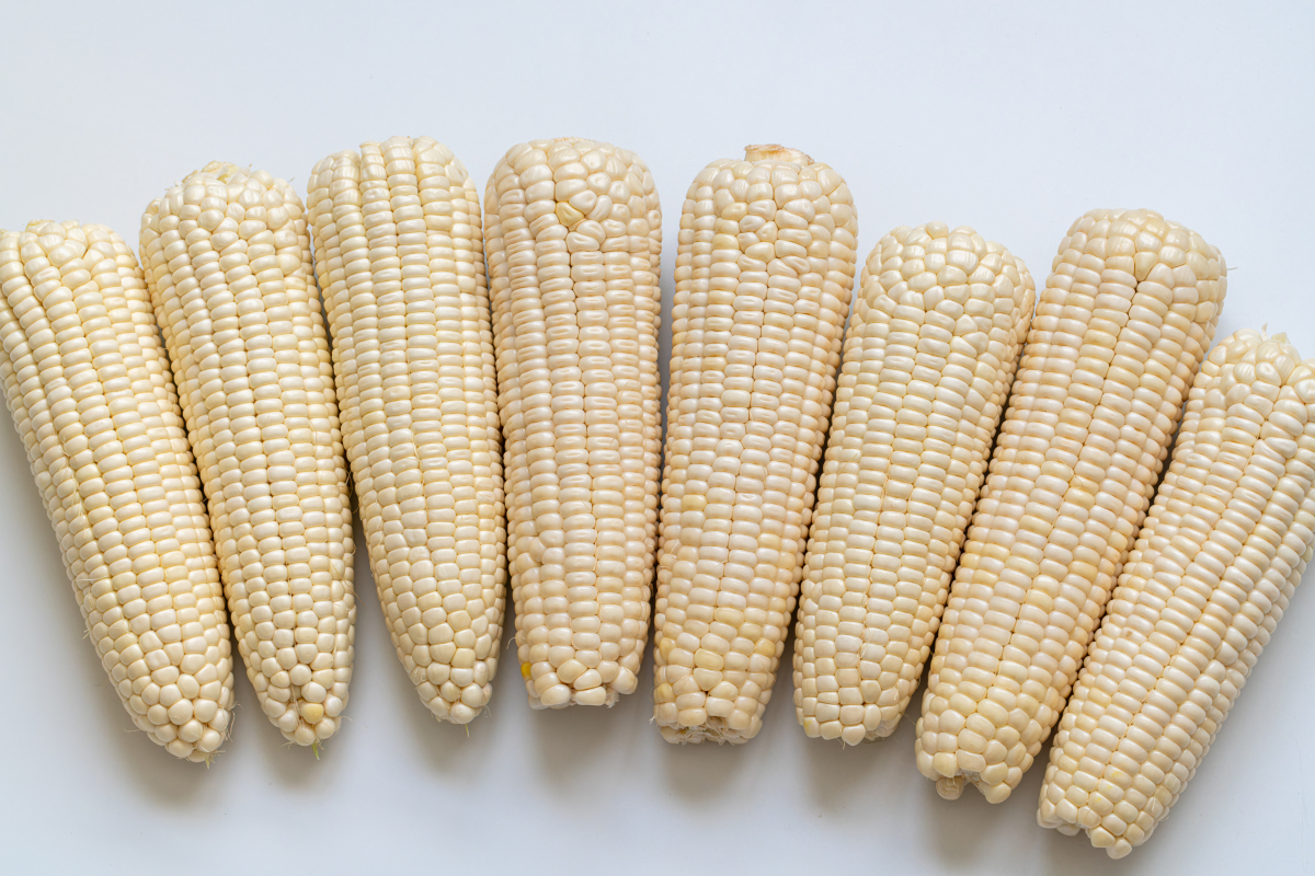 然而,面对市场上琳琅满目的玉米品种,减肥人士该如何选择呢?