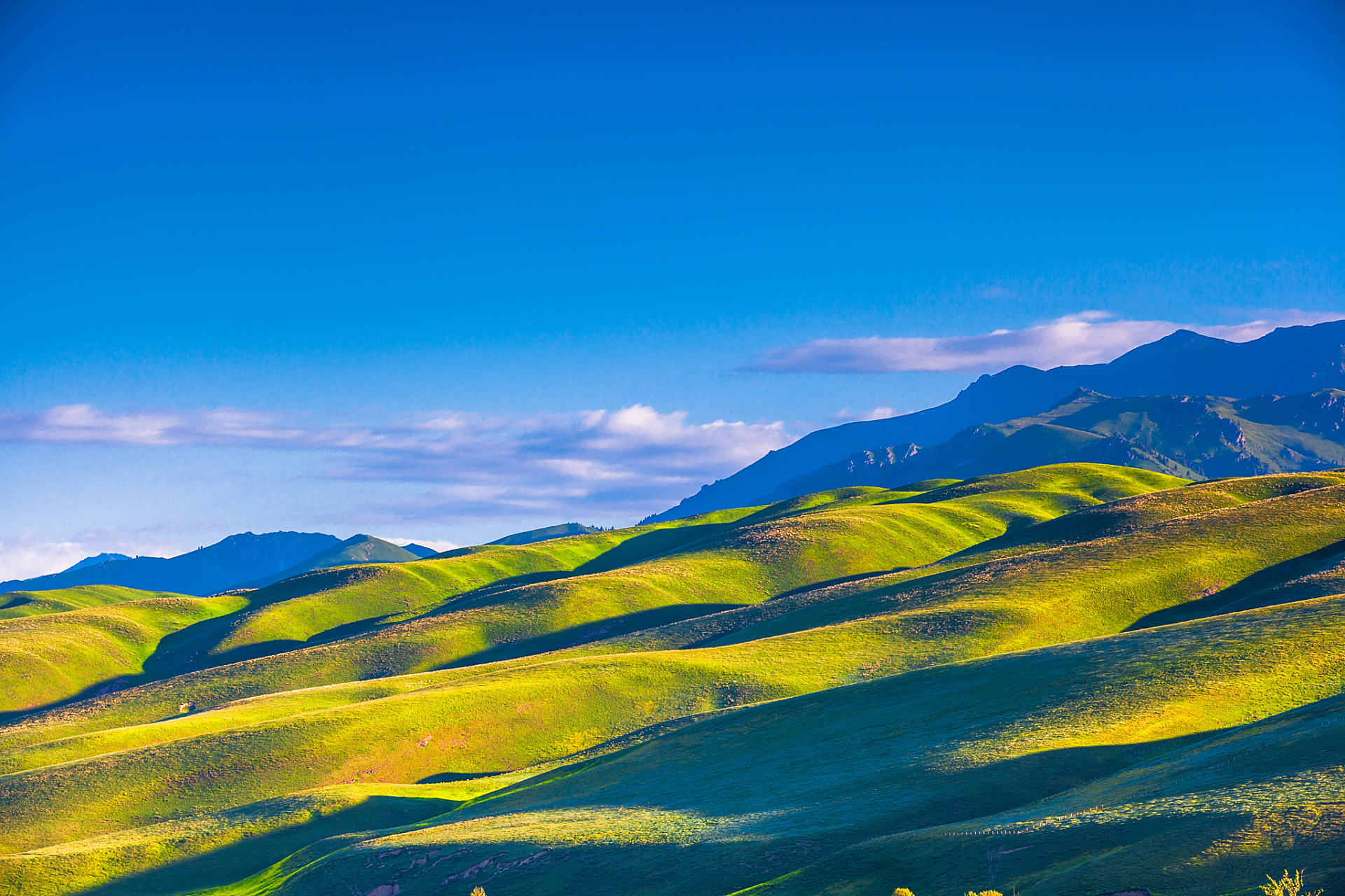 奇遇那拉提#新疆那拉提的赛马场吸引了很多游客前来观赛.